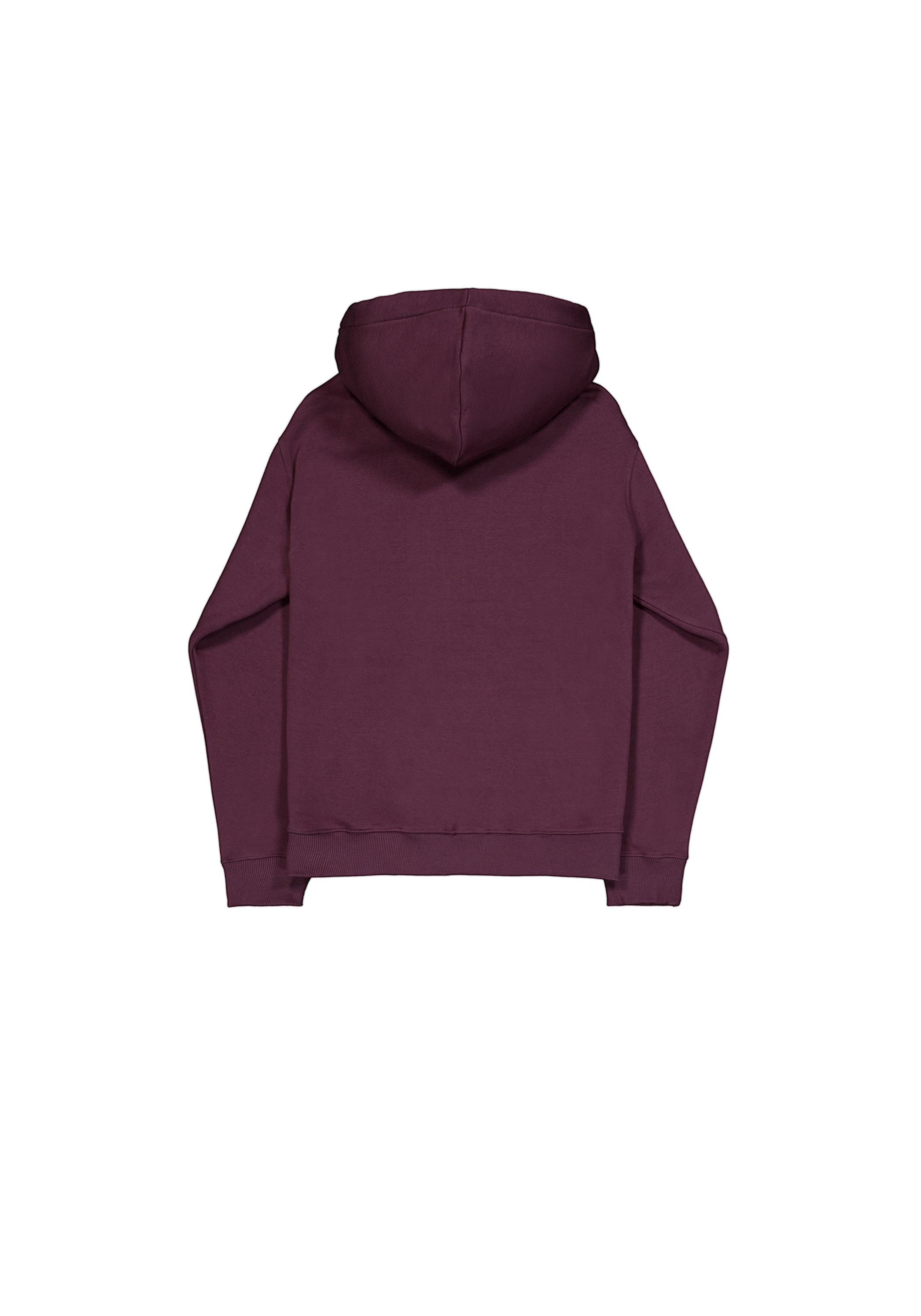 Alpha Industries Hoodie »Alpha Puff Print Hoodie«

