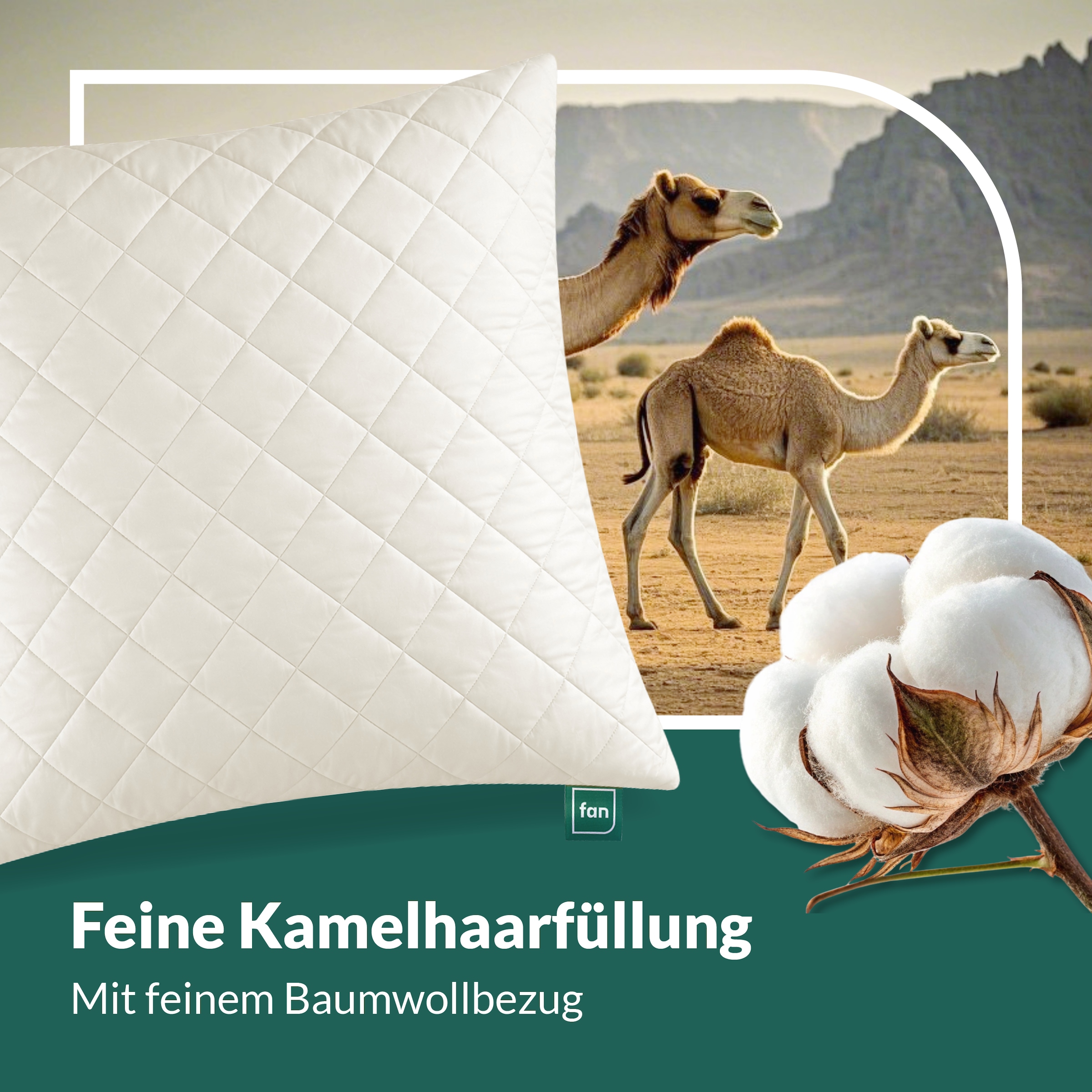 fan Naturfaserkissen »Gobi, Kopfkissen in 40x80 & 80x80 cm, Made in Germany« Füllung: 97Wolle3sonstigeFasern 1 Stk. tlg. Kissenbezug aus Baumwolle mit Kamelhaar versteppt, Füllung aus Wolle