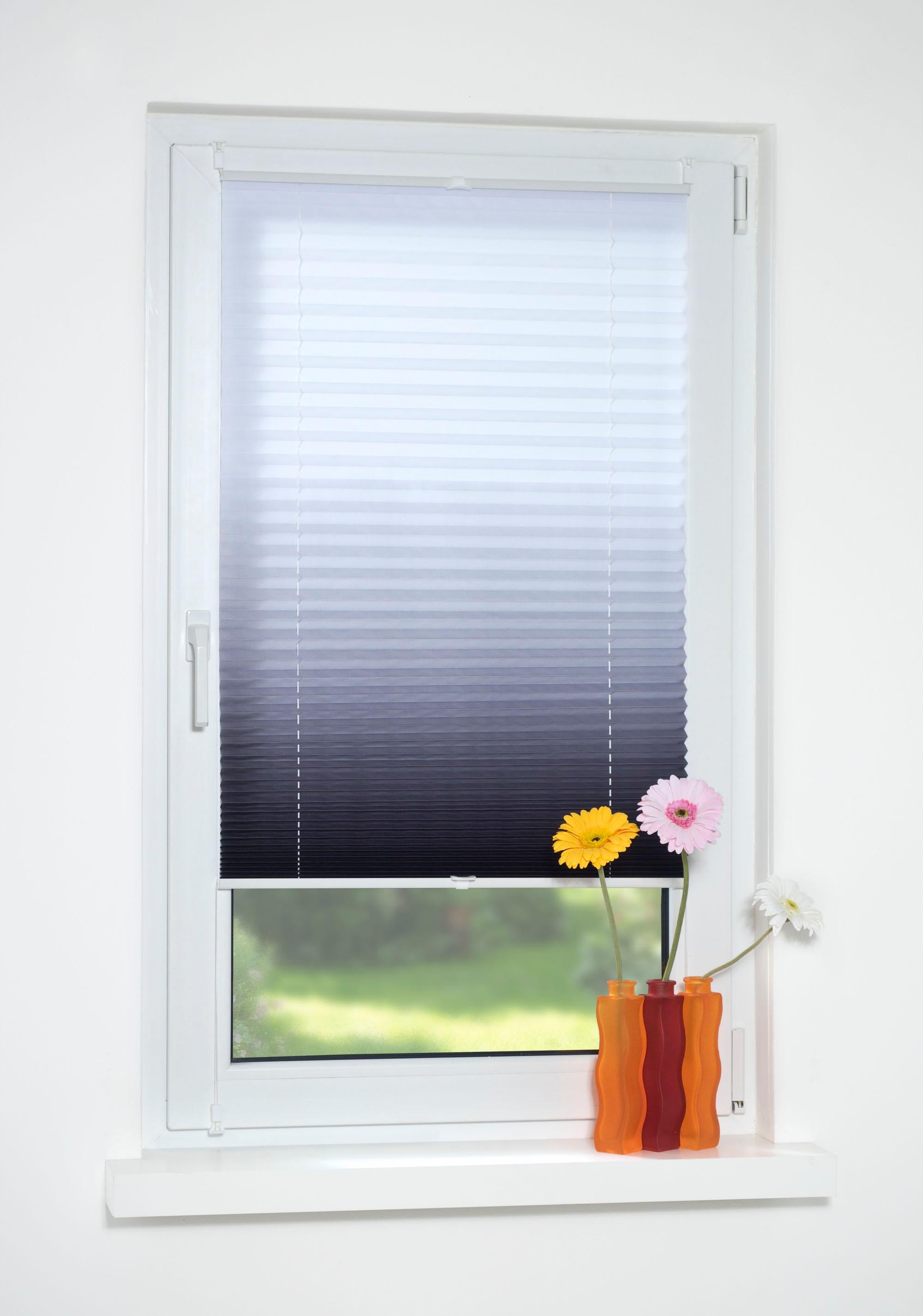 Liedeco Plissé »Farbverlauf« Lichtschutz ohne Bohren verspannt