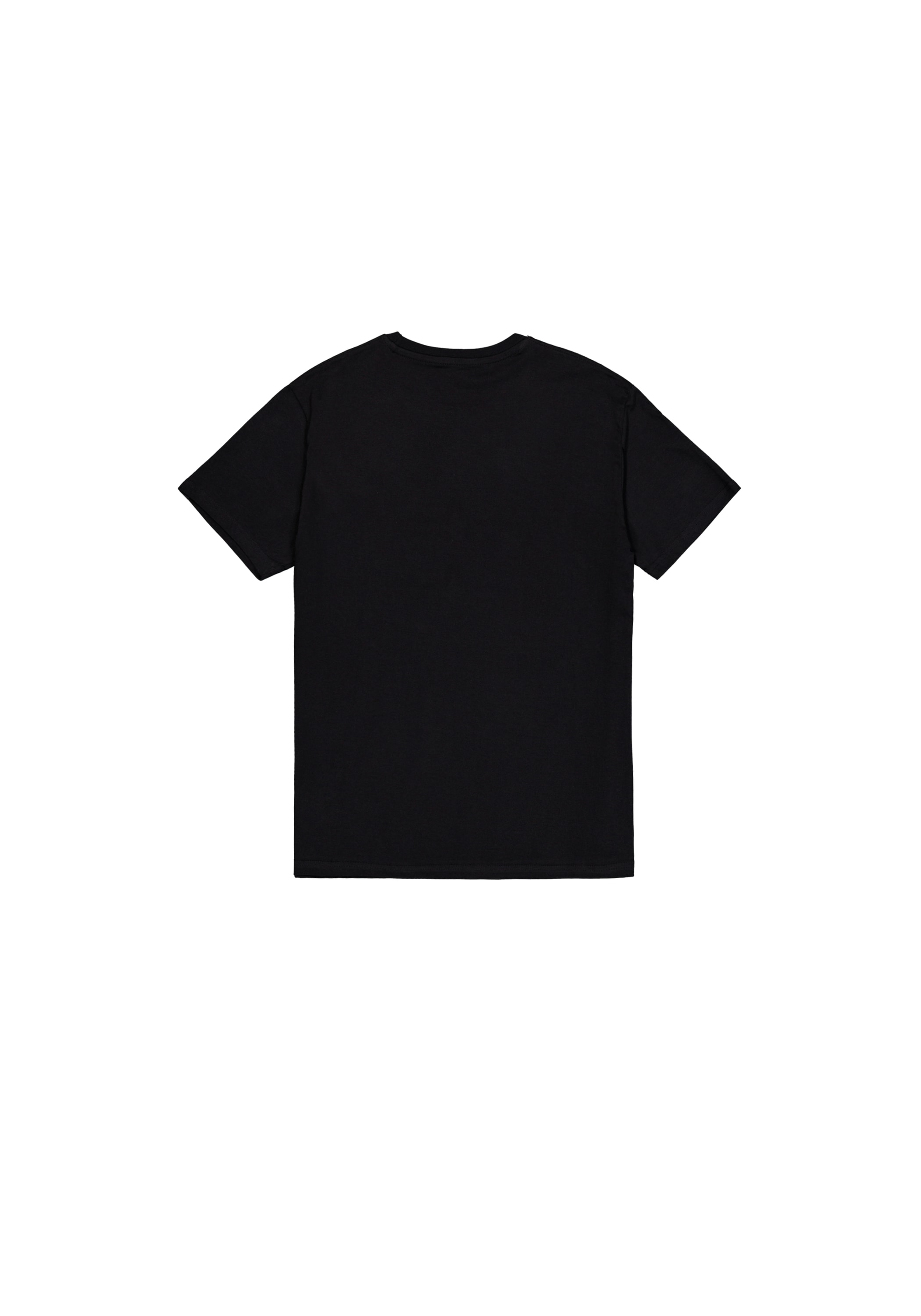 Alpha Industries T-shirt »Basic T-Shirt BL Rubber«