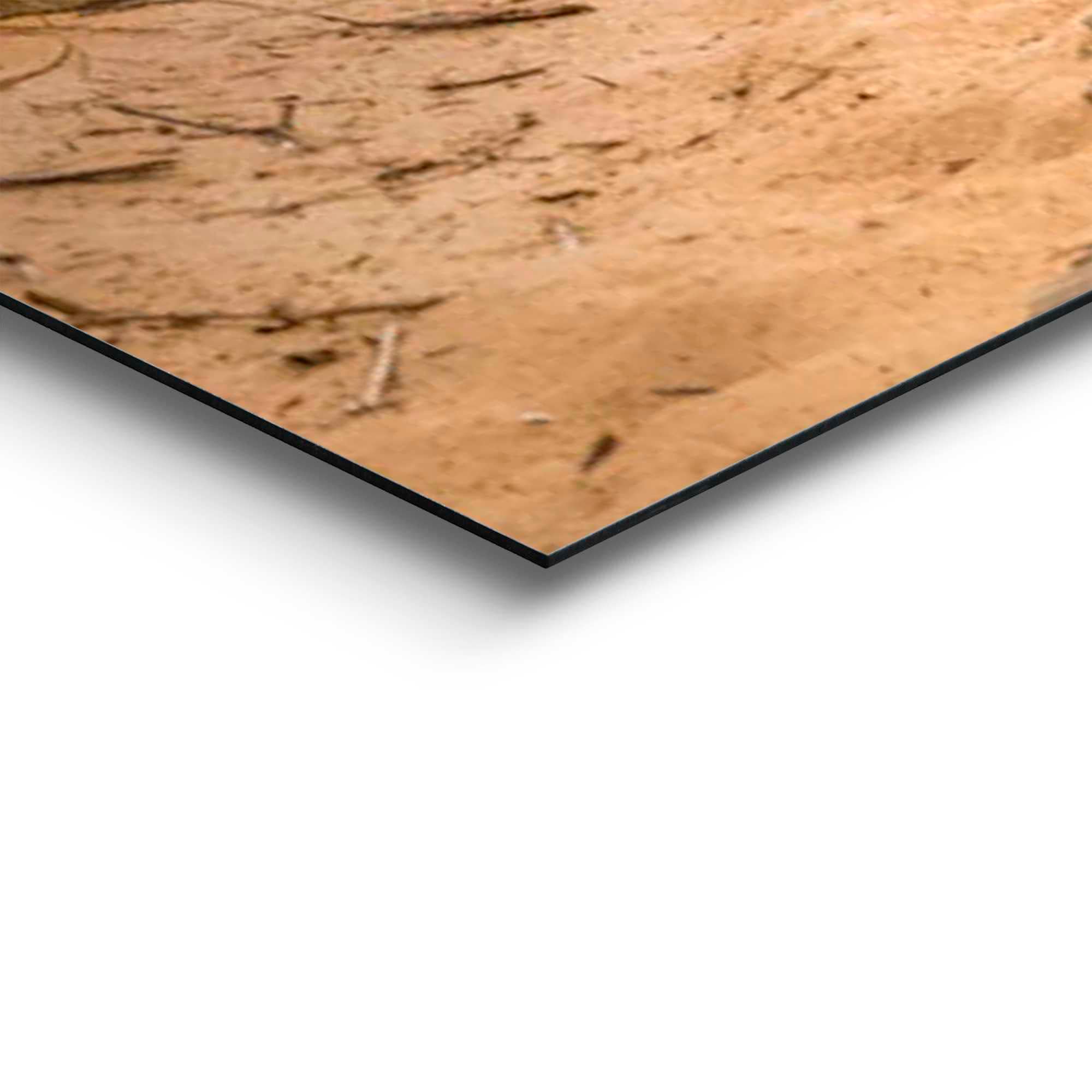 Reinders! Deco-Panel »Sonnenuntergang am Strand«