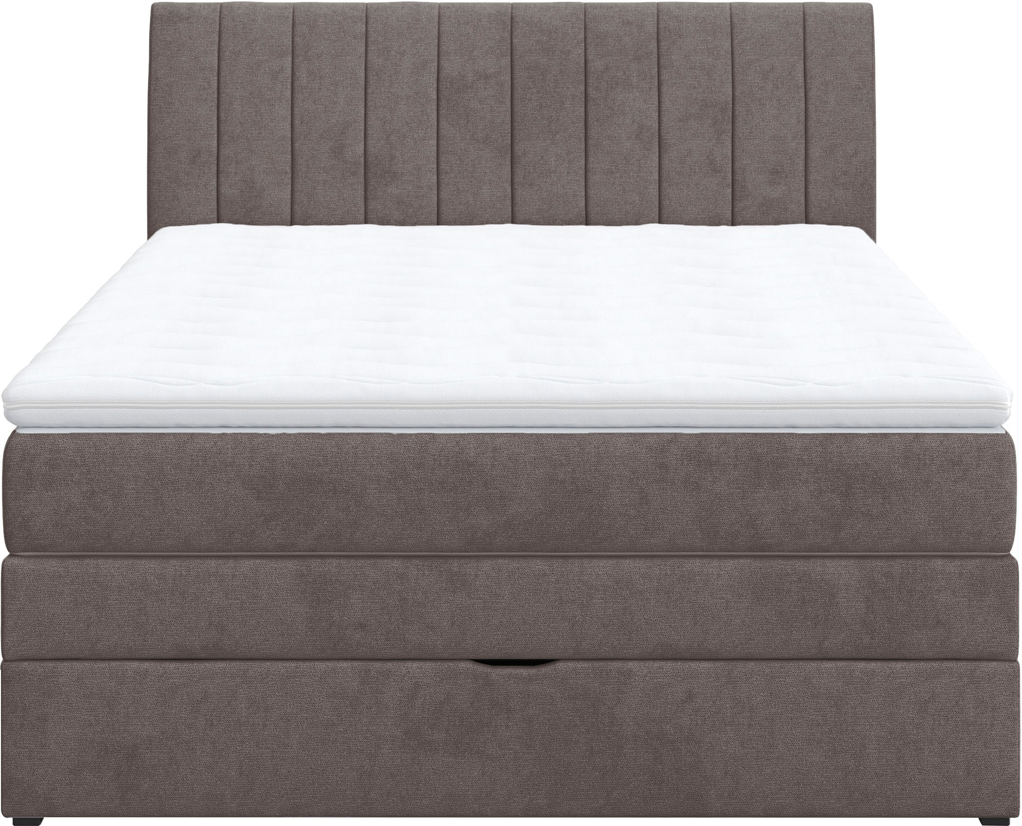 COTTA Lit boxspring »Shark inkl. Bettkasten und Topper« disponible en largeurs 140x200cm, 160x200cm et 180x200cm