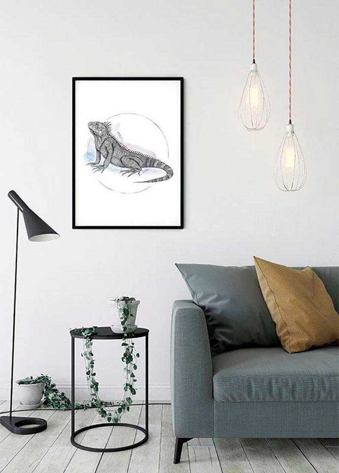 Komar Image »Iguana Watercolor« 1 cuis tlg. Wandbild zur Dekoration - ohne Rahmen
