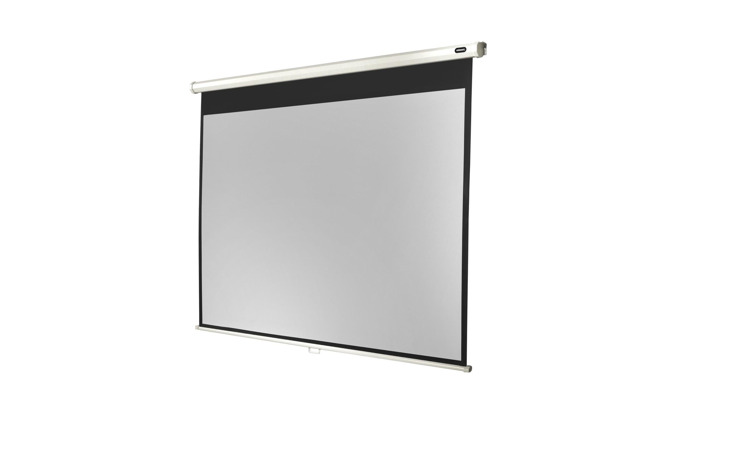 Celexon Rolloleinwand »Eco 300x300cm«