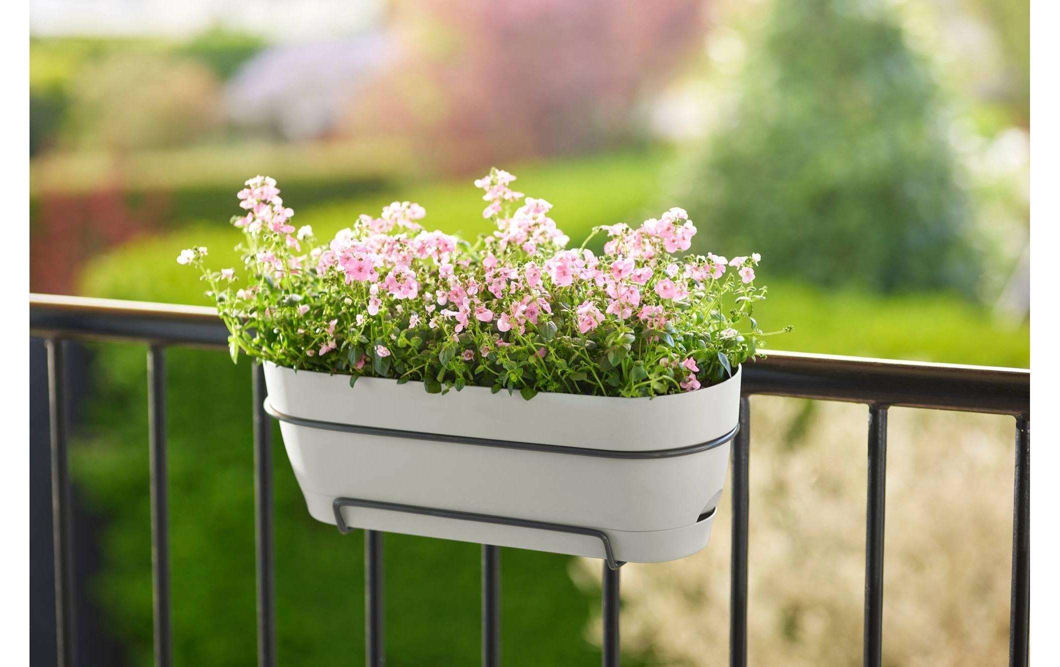 Elho Pot de fleurs »Vibia Campana Balkonkasten Allin1 50 cm«