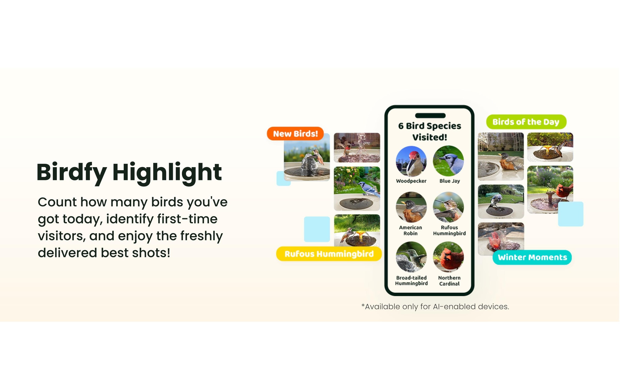 Birdfy Mangeoire pour oiseaux »Vogelbad mit Kamera« Solarbetrieben, KI und Video Vogelerkennung