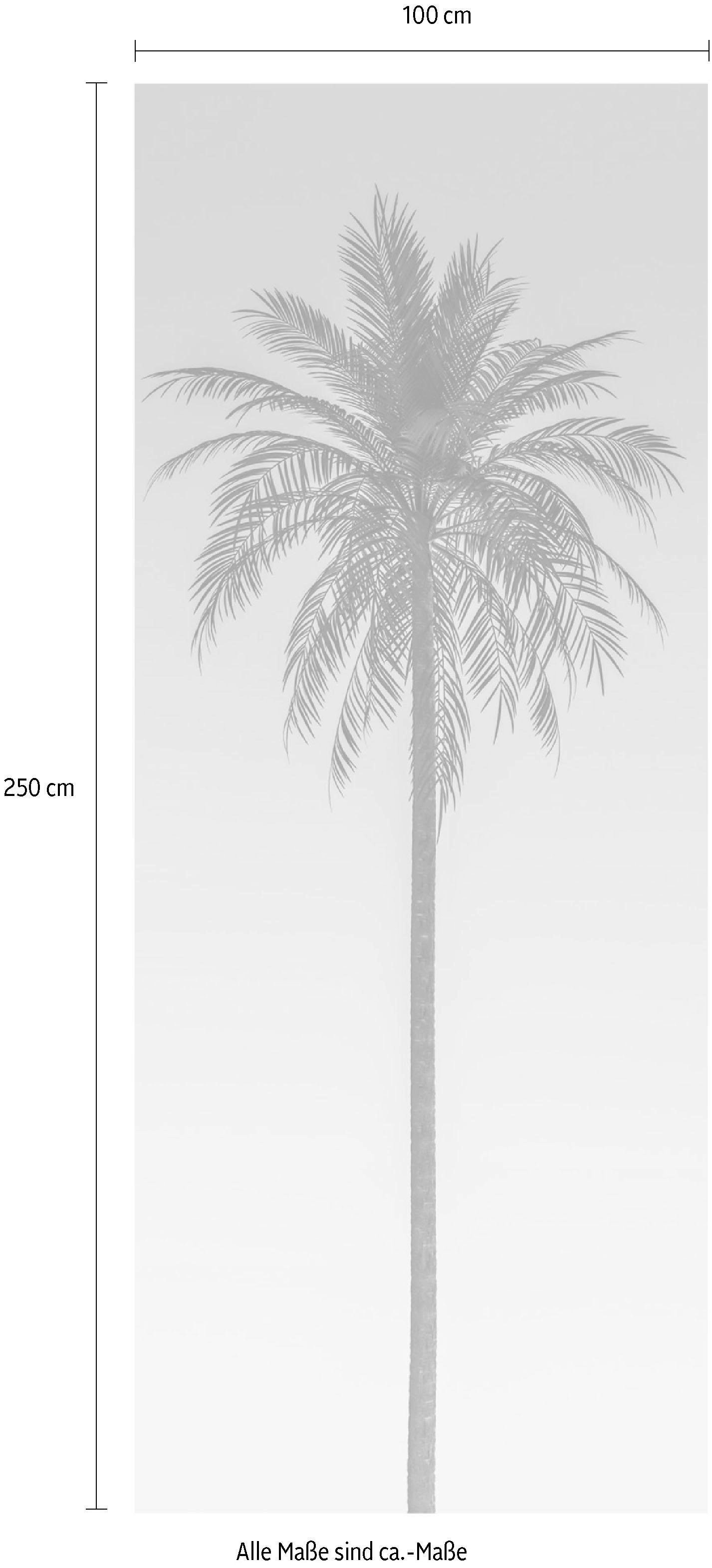 Komar Papier peint intissé (Breite x Höhe), Vliestapete, 100 cm Bahnbreite