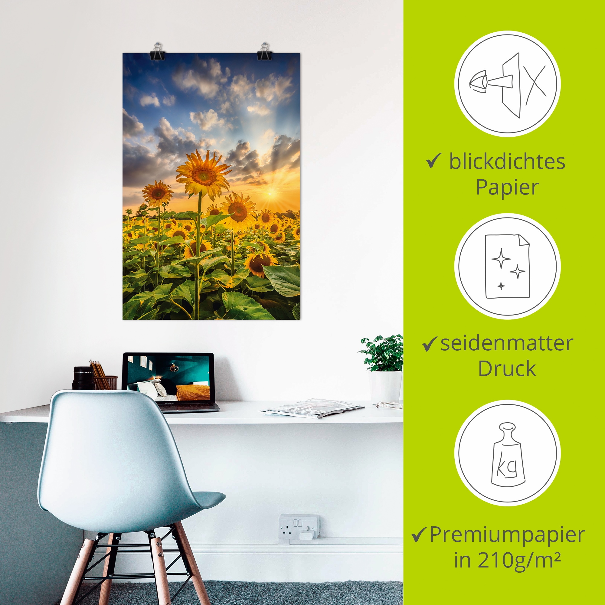 Artland Fresque murale »Sonnenblumen im Sonnenuntergang« 1 cuis tlg. als Leinwandbild, Poster in verschied. Grössen