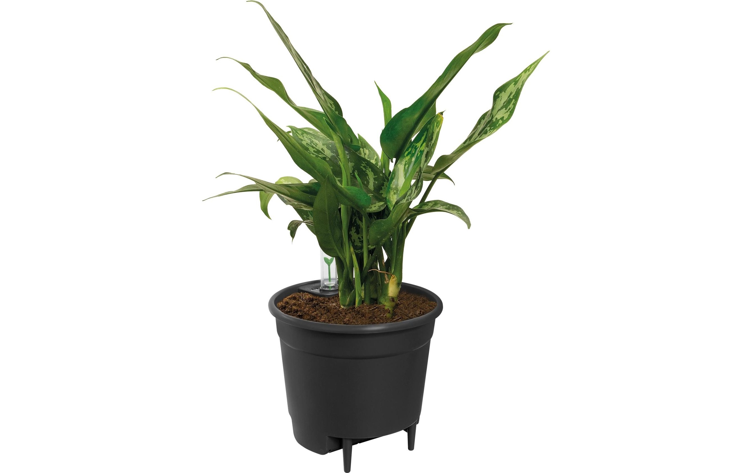 Elho Pot de fleurs »Selbstbewässerungssystem«