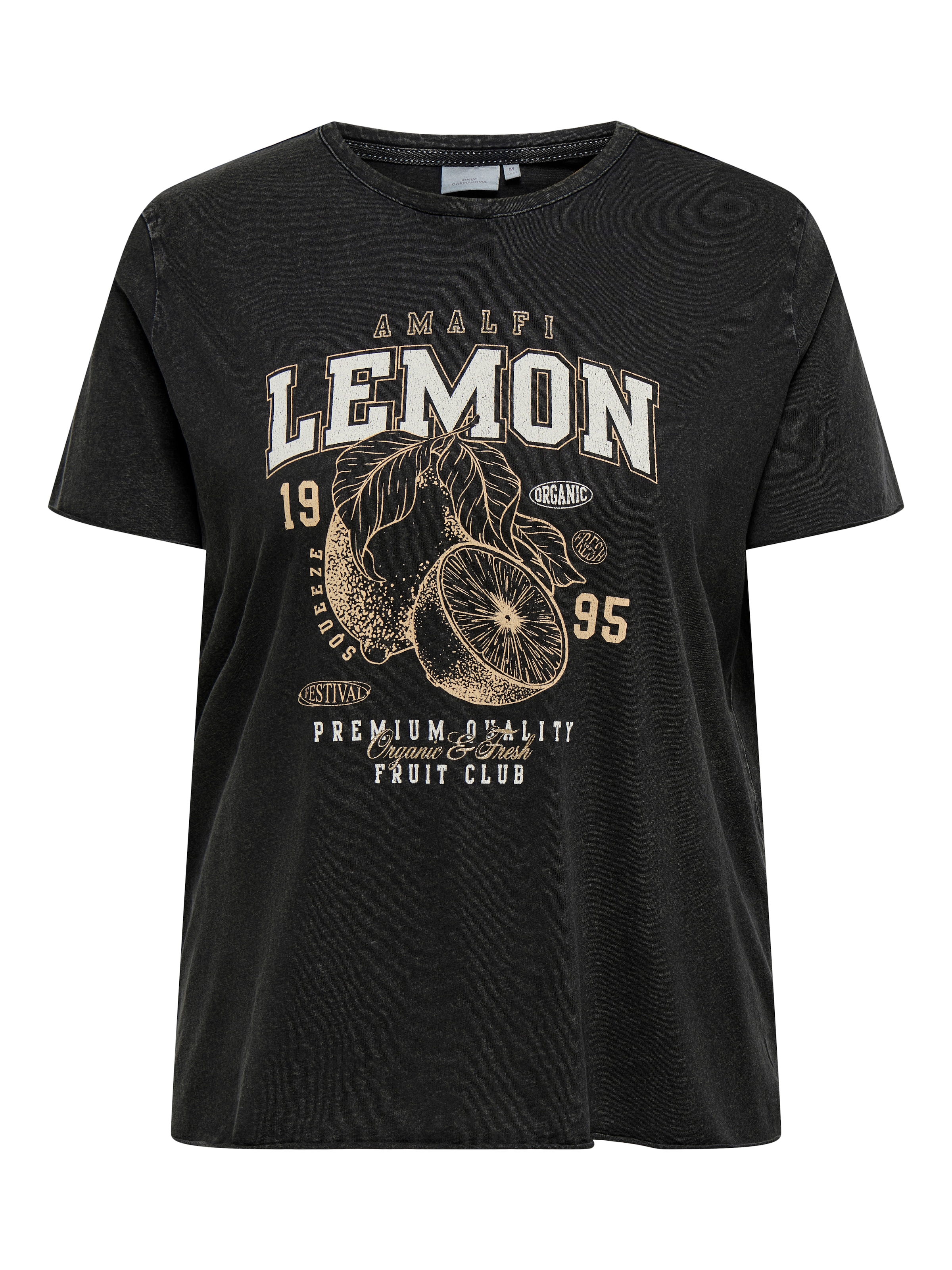 ONLY CARMAKOMA T-shirt »CARLUCY LIFE REG S/S TOP JRS NOOS« Baumwolle, regular fit