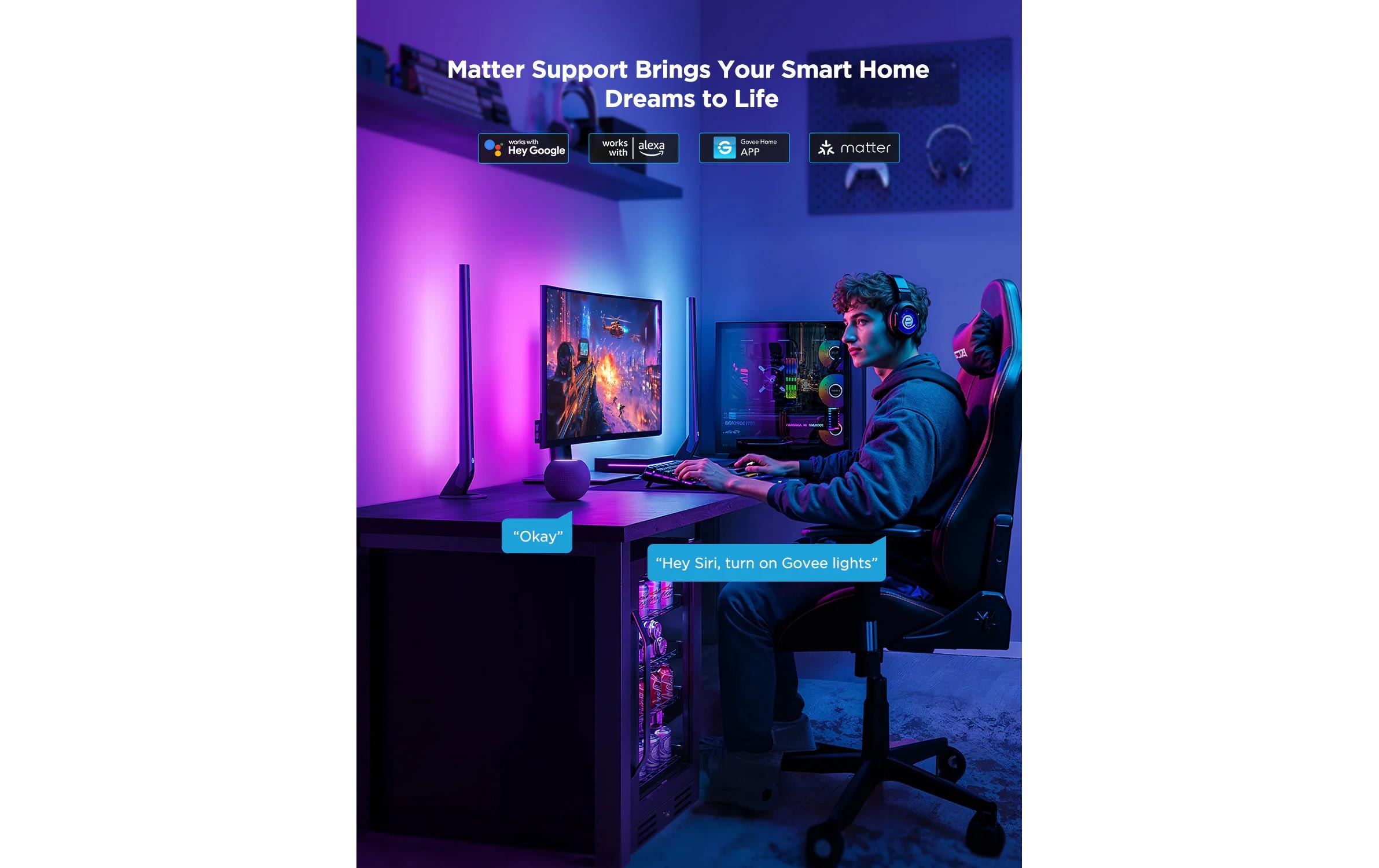 Govee Lampe LED intelligente »HDMI AI Sync Box Kit 27-34« 1 cuis