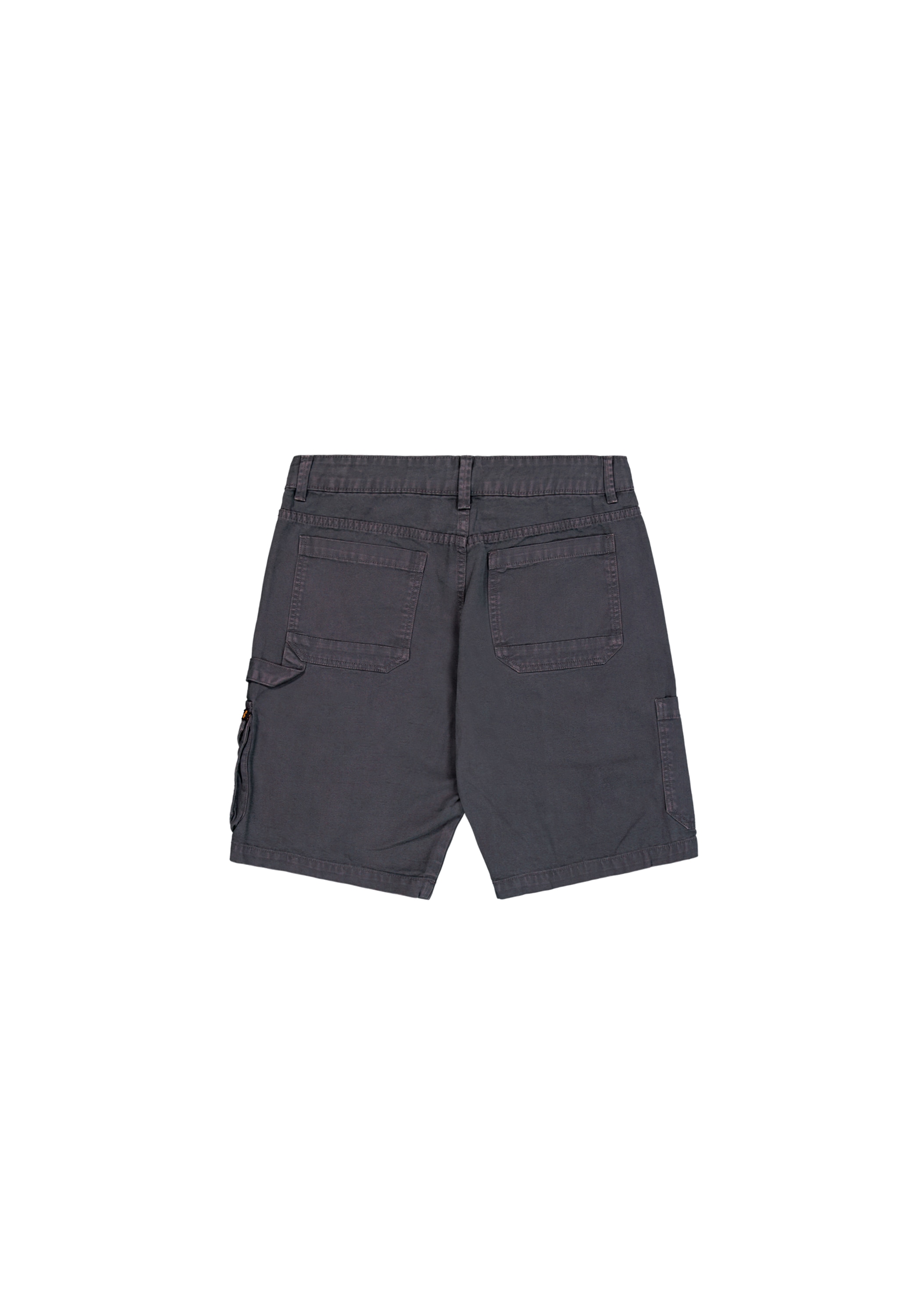Alpha Industries Shorts »Cargo Honolulu Short«