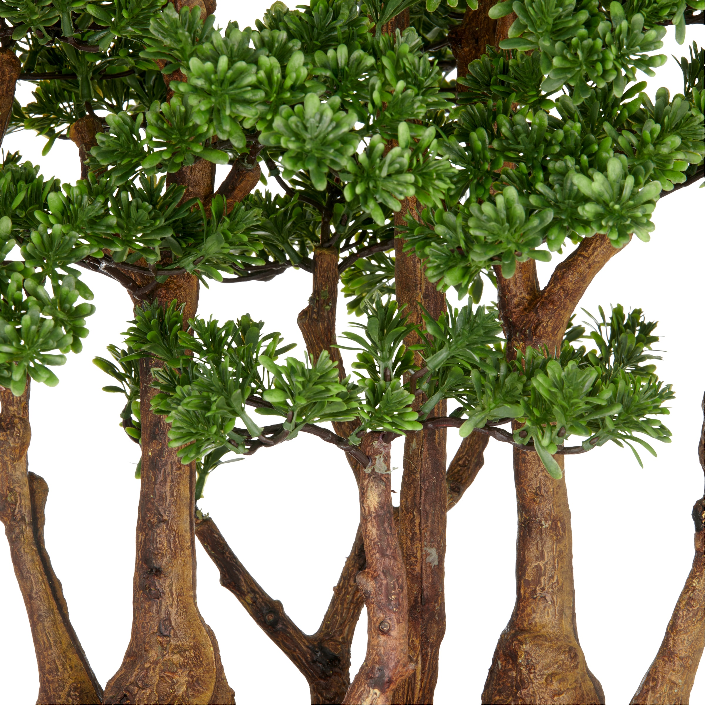 Creativ green Kunstbonsai »Bonsai Teeblatt« mit detailgetreuer Gestaltung