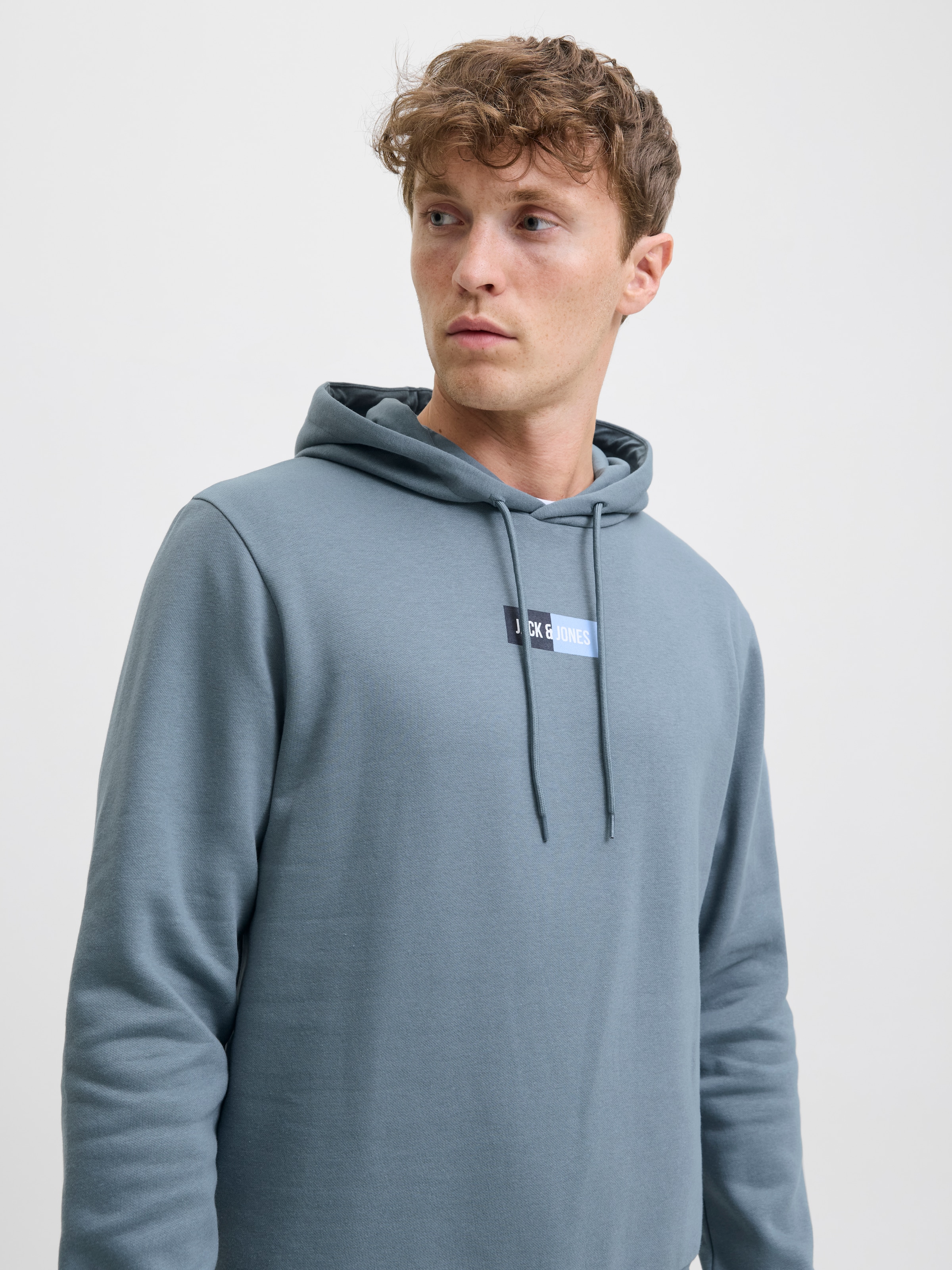 Jack & Jones Sweat à capuche »JJPAN SWEAT HOOD«
