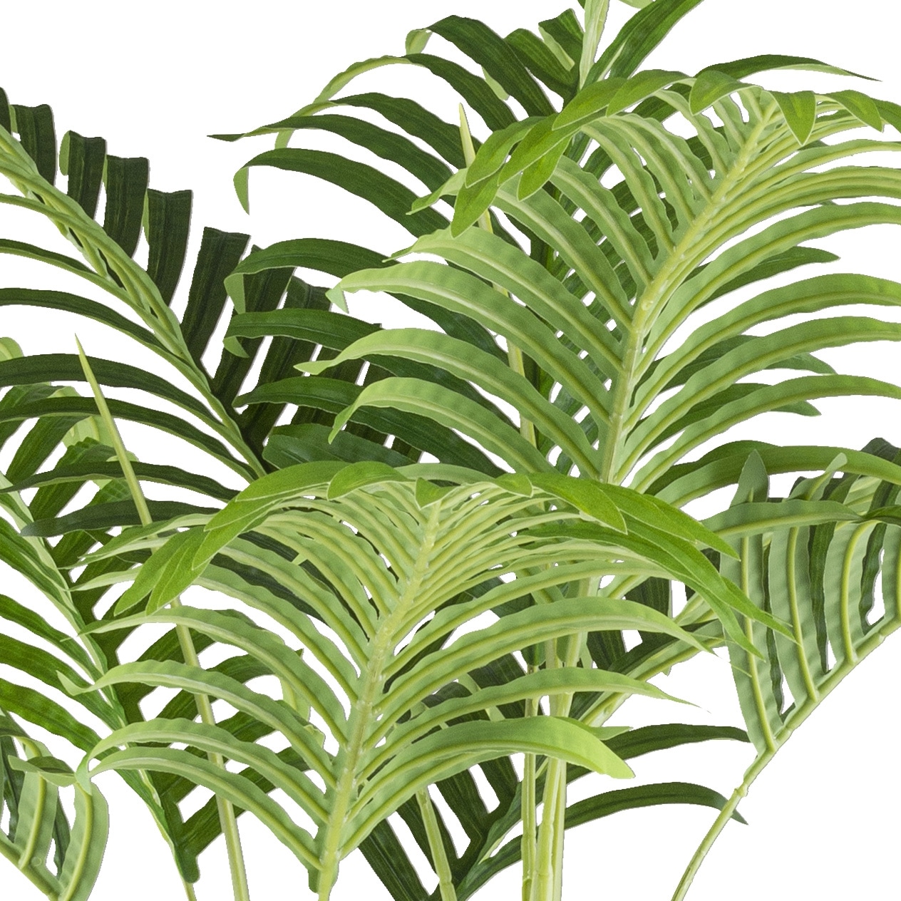 Creativ green Palmier artificiel »Bambuspalme« mit zahlreichen Wedeln