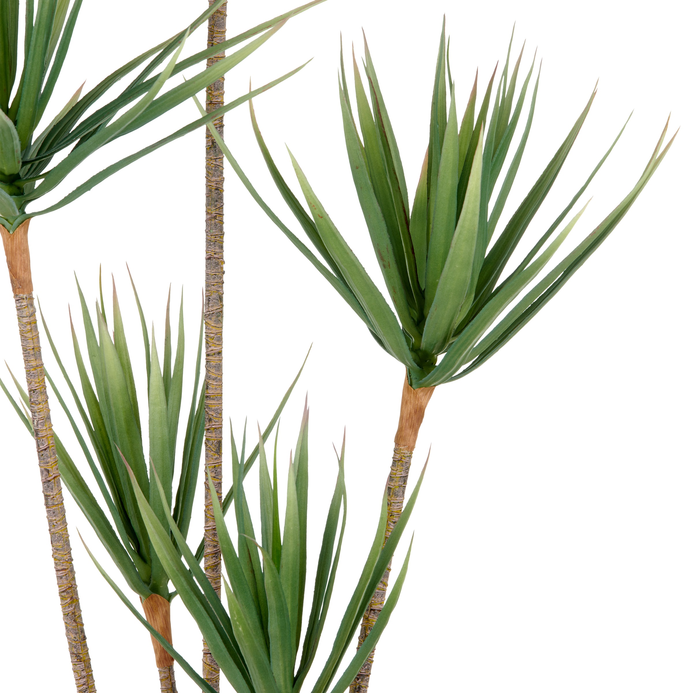 Creativ green Kunstpflanze »Dracaena draco« mit 5 Stämmen