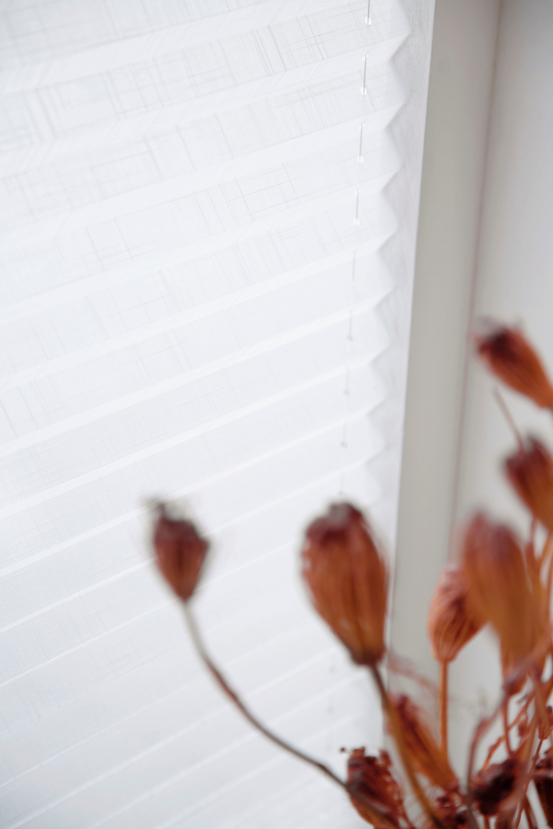 SCHÖNER WOHNEN-Kollektion Plissé »Marla« blickdicht mit Bohren verspannt verschraubt, mit Leinen-Optik