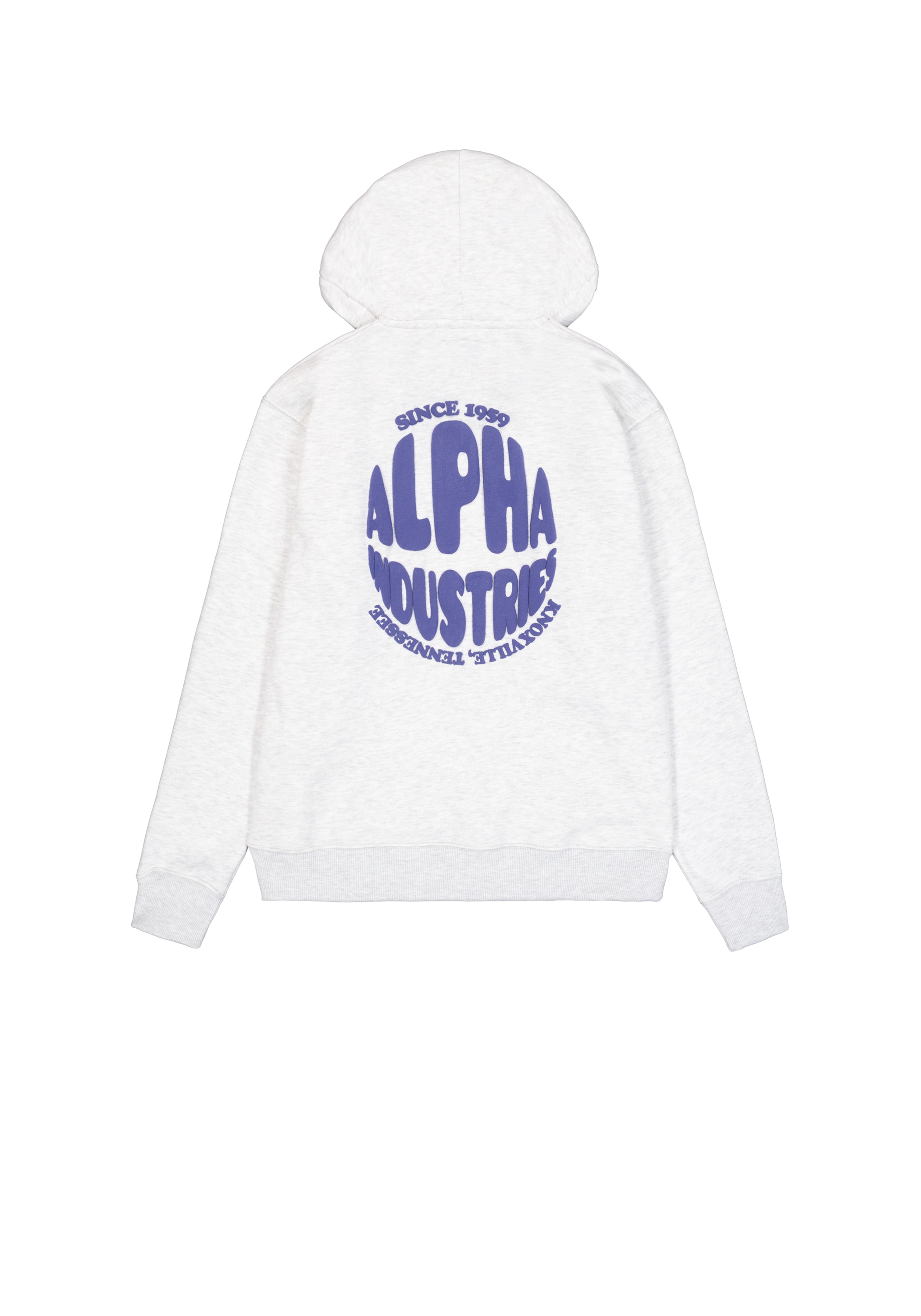 Alpha Industries Hoodie »Logo Hoodie Backprint«
