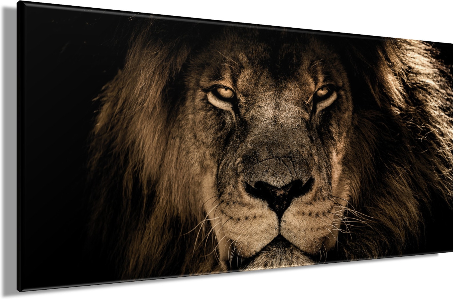 Bönninghoff Leinwandbild »Wandbild LÖWE 50x100 cm – Leinwandbild Keilrahmen Deko modern« Löwe 1 Stk. tlg. auf Keilrahmen gespannt