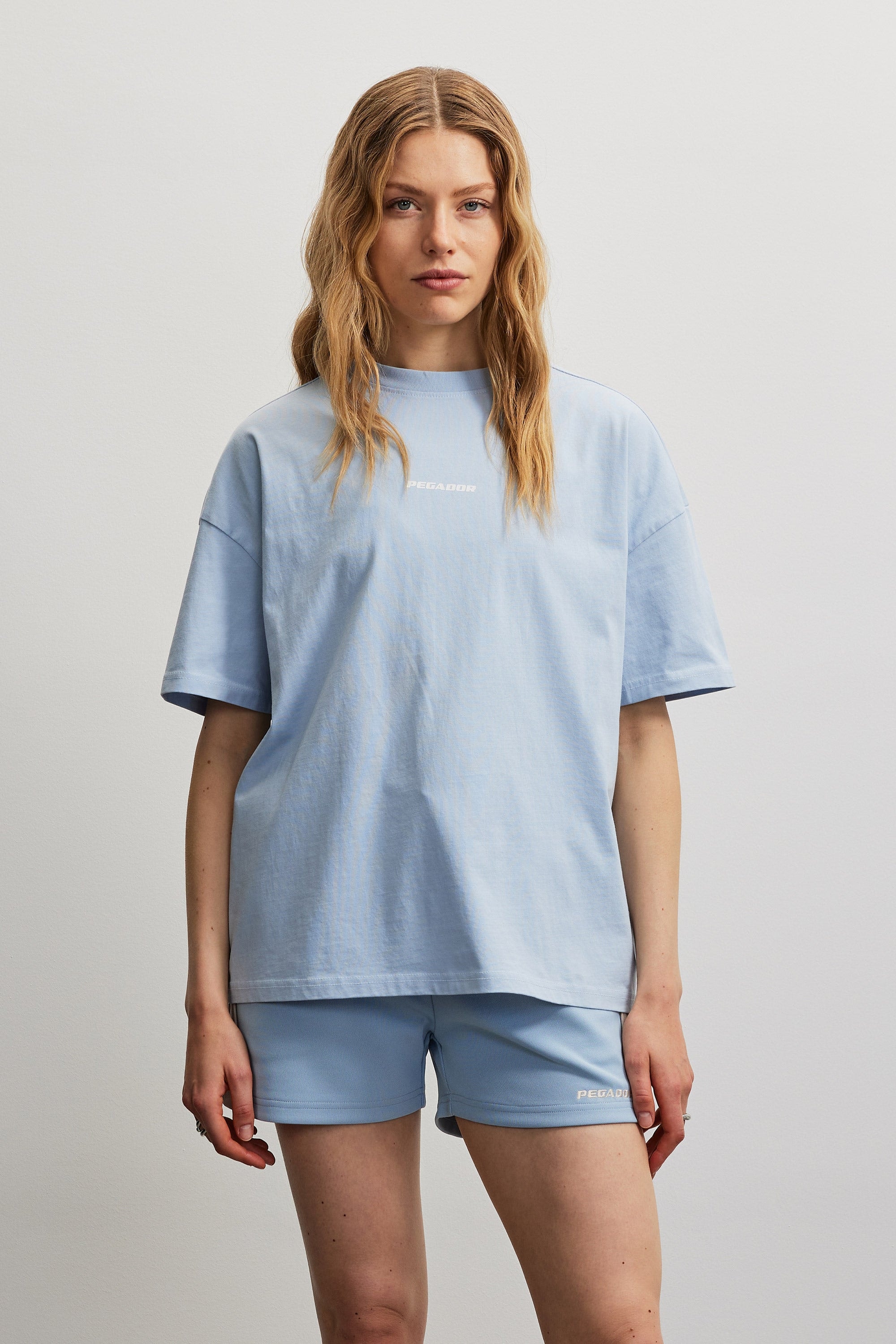 PEGADOR T-shirt »ARENDAL LOGO HEAVY OVERSIZED TEE«