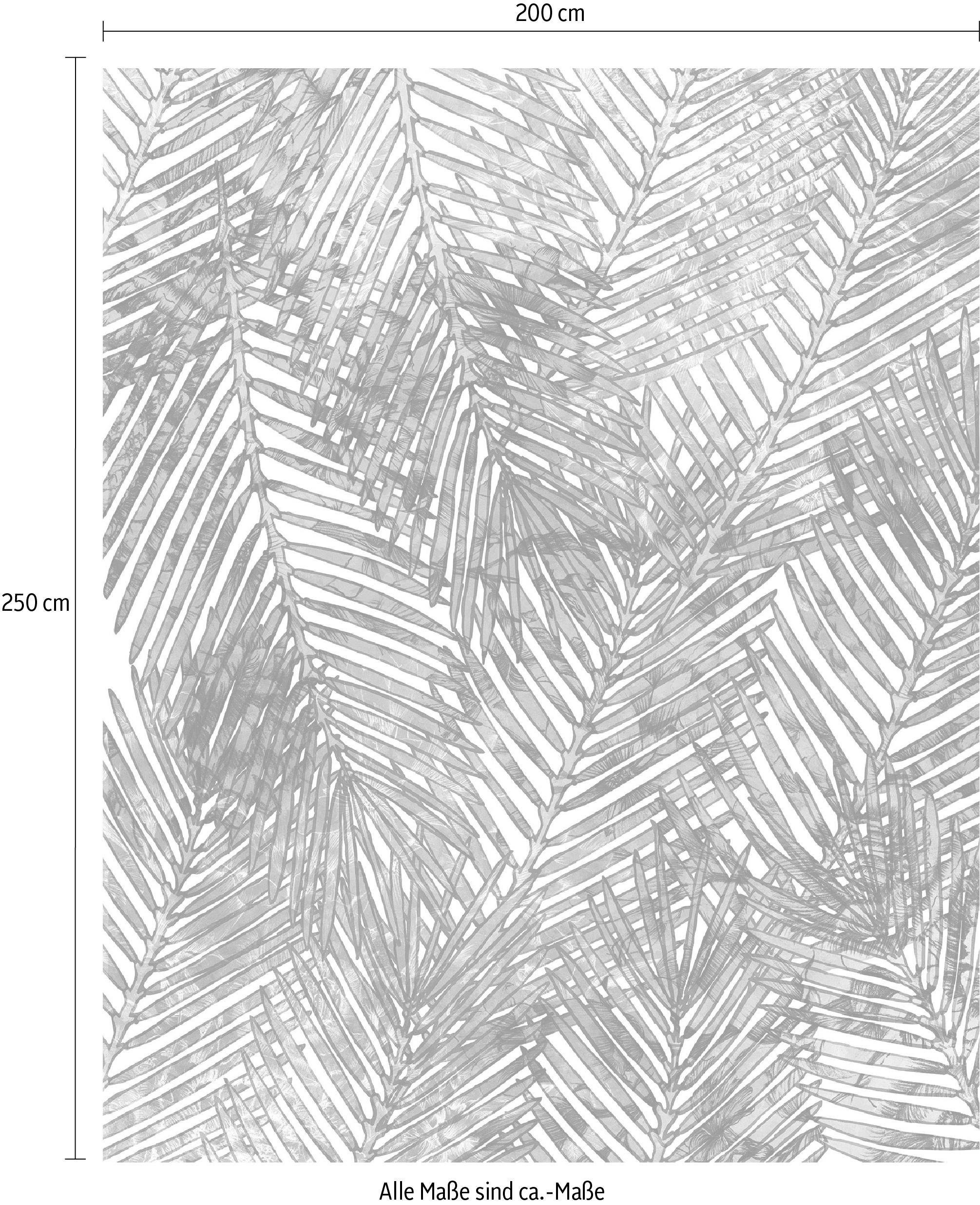 Komar Vliestapete »Digitaldruck Vlies -  Palm Canopy - Grösse 200 x 250 cm« bedruckt glatt Wohnzimmer, Schlafzimmer