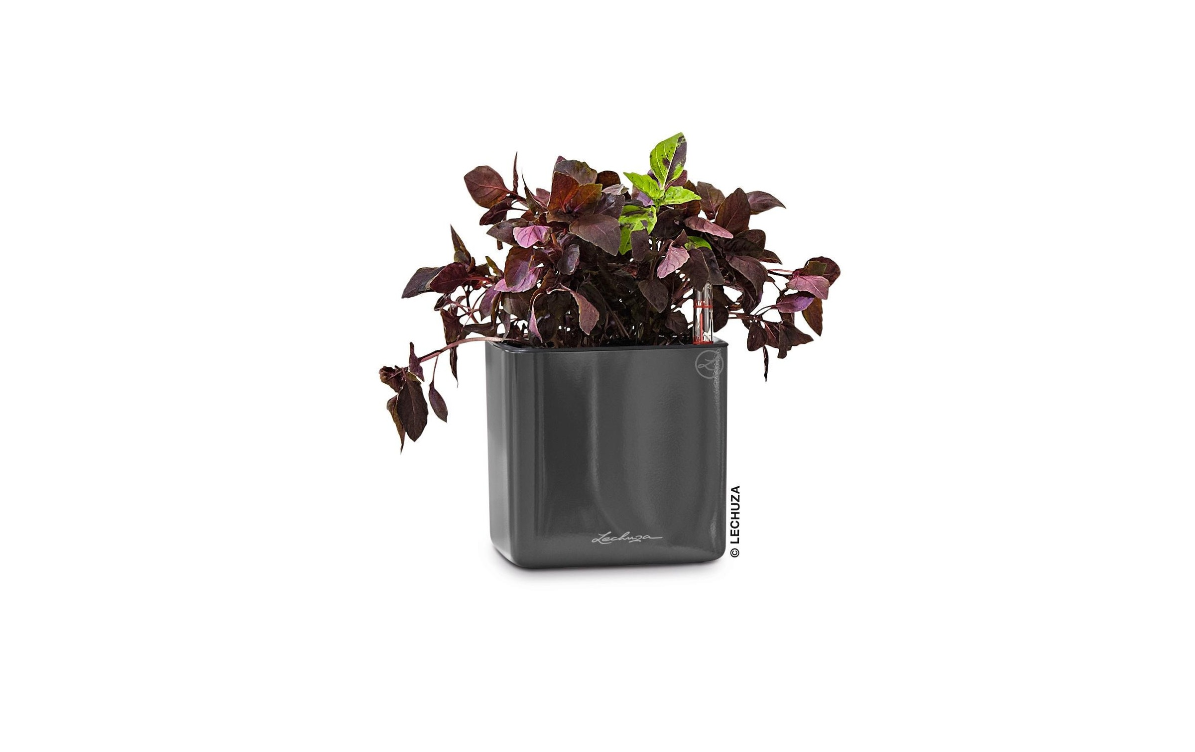   Pot de fleurs »Lechuza CUBE Glossy 14«