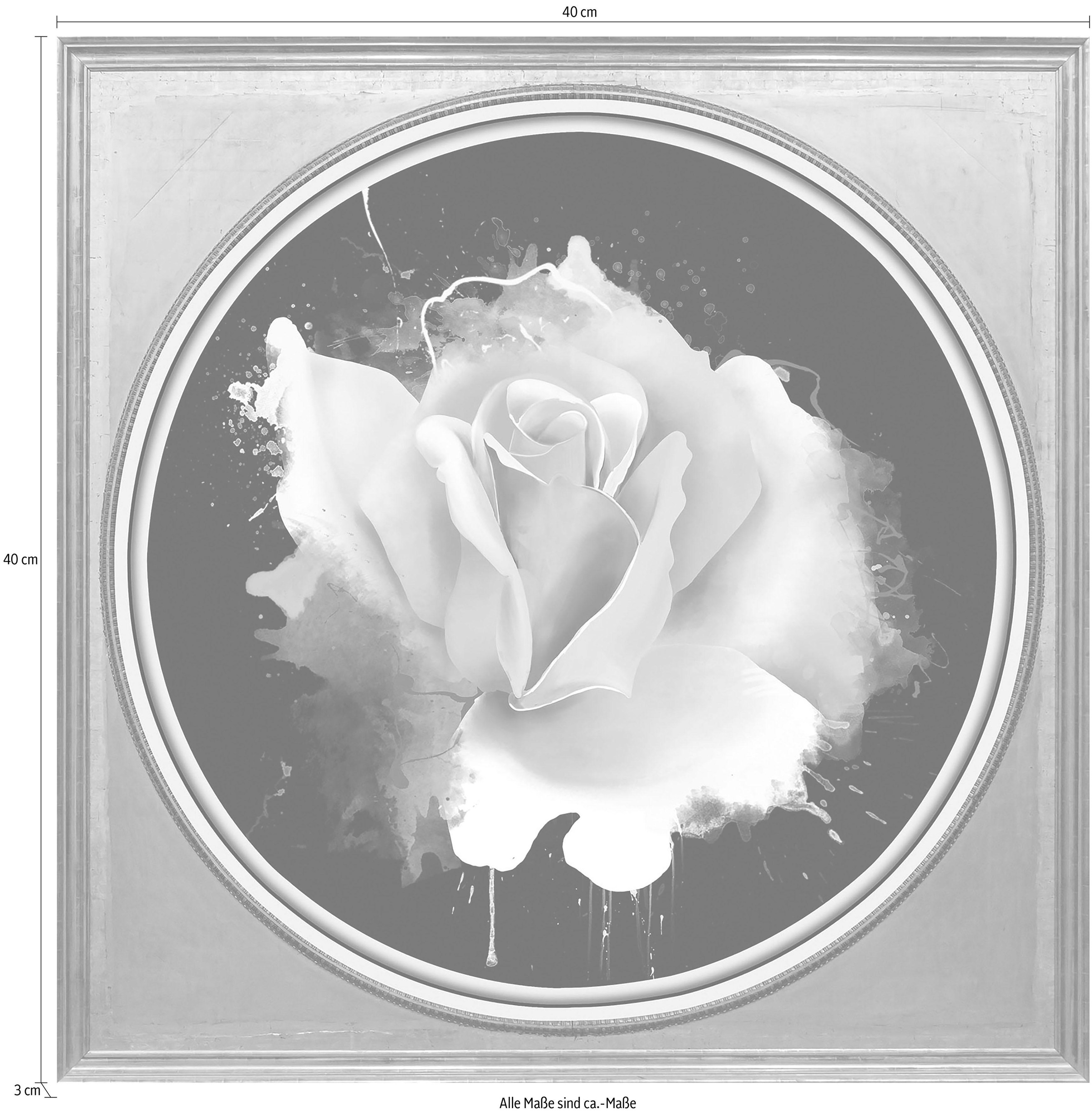 queence Acrylglasbild »Rosa Rose« Blumenbilder | Gemälde | Kunst | Pflanzen | Pflanzenbilder Fine Art-Print in Galeriequalität