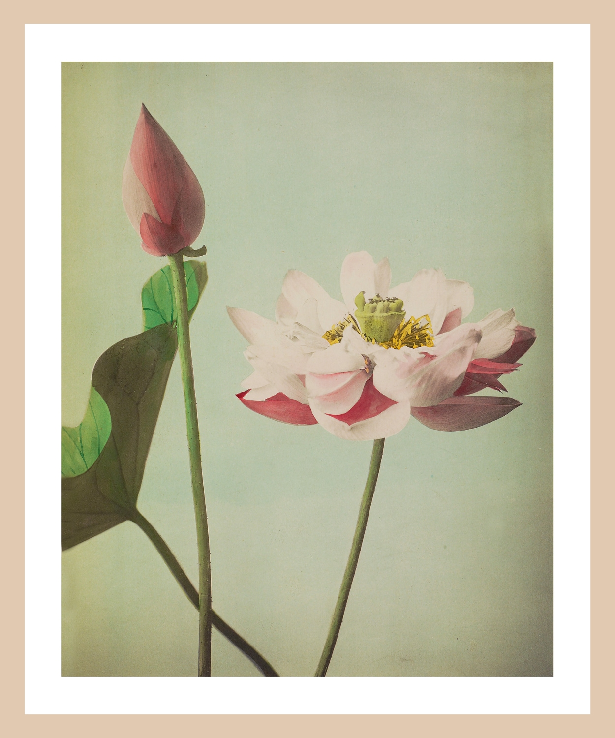 queence Bild mit Rahmen »Gudrun« Premium Rahmenbild