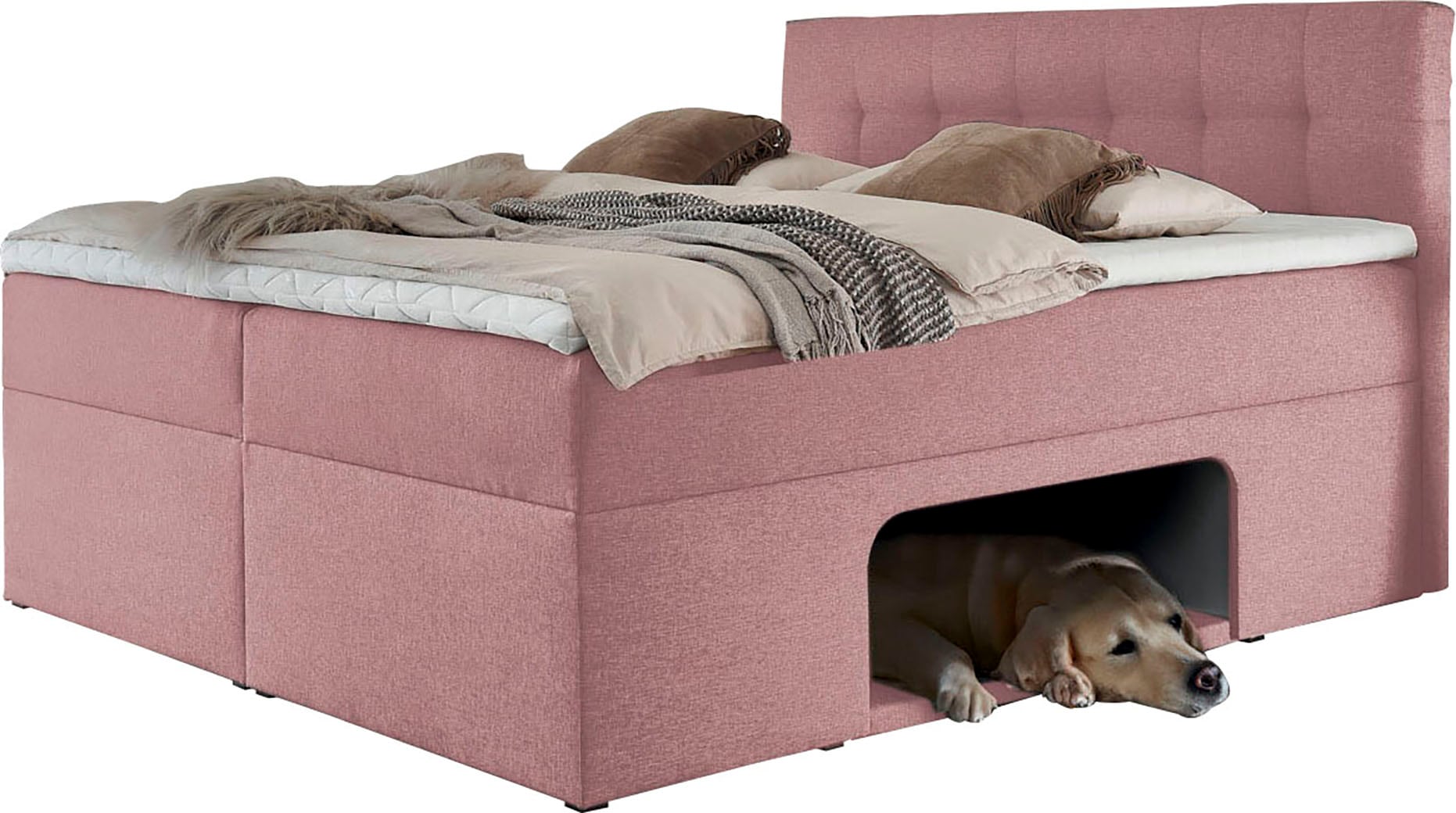Home affaire Lit de boxe »Carolin« avec niche incluant un coussin rembourré pour animaux