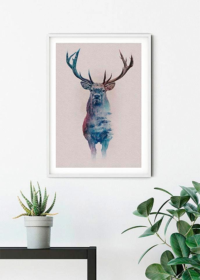 Komar Bild »Animals Forest Deer« Tiere 1 Stk. tlg. Wandbild zur Dekoration - ohne Rahmen