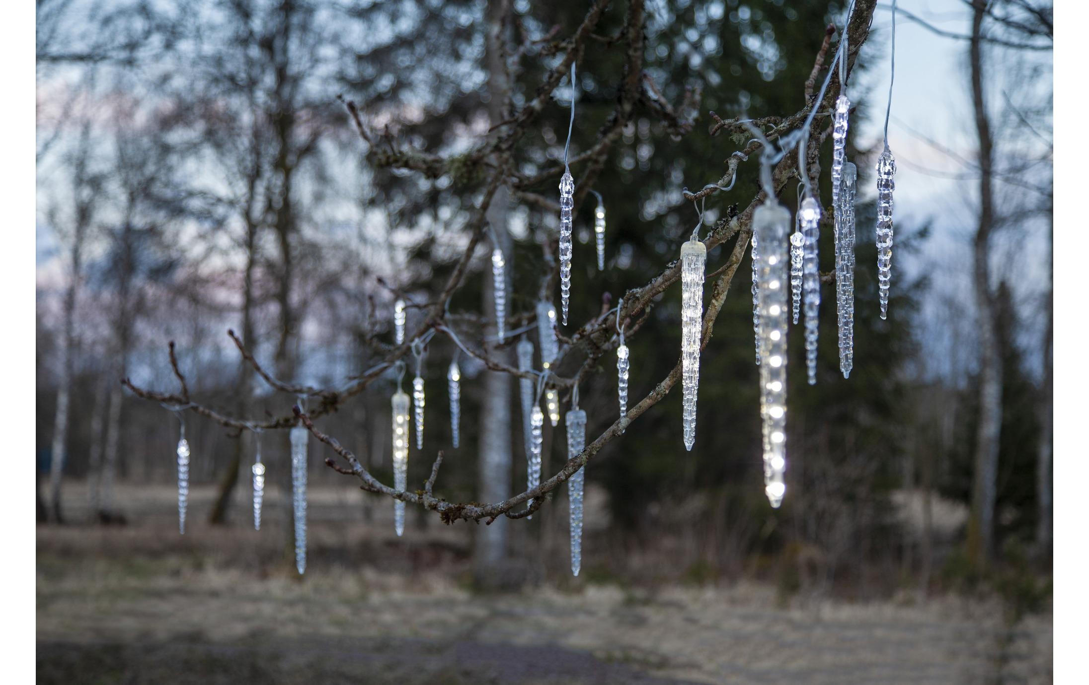 Parforce Traditional Hunting LED-Lichtervorhang »Trading LED-Lichtervorhang« 24 Stk.-flammig