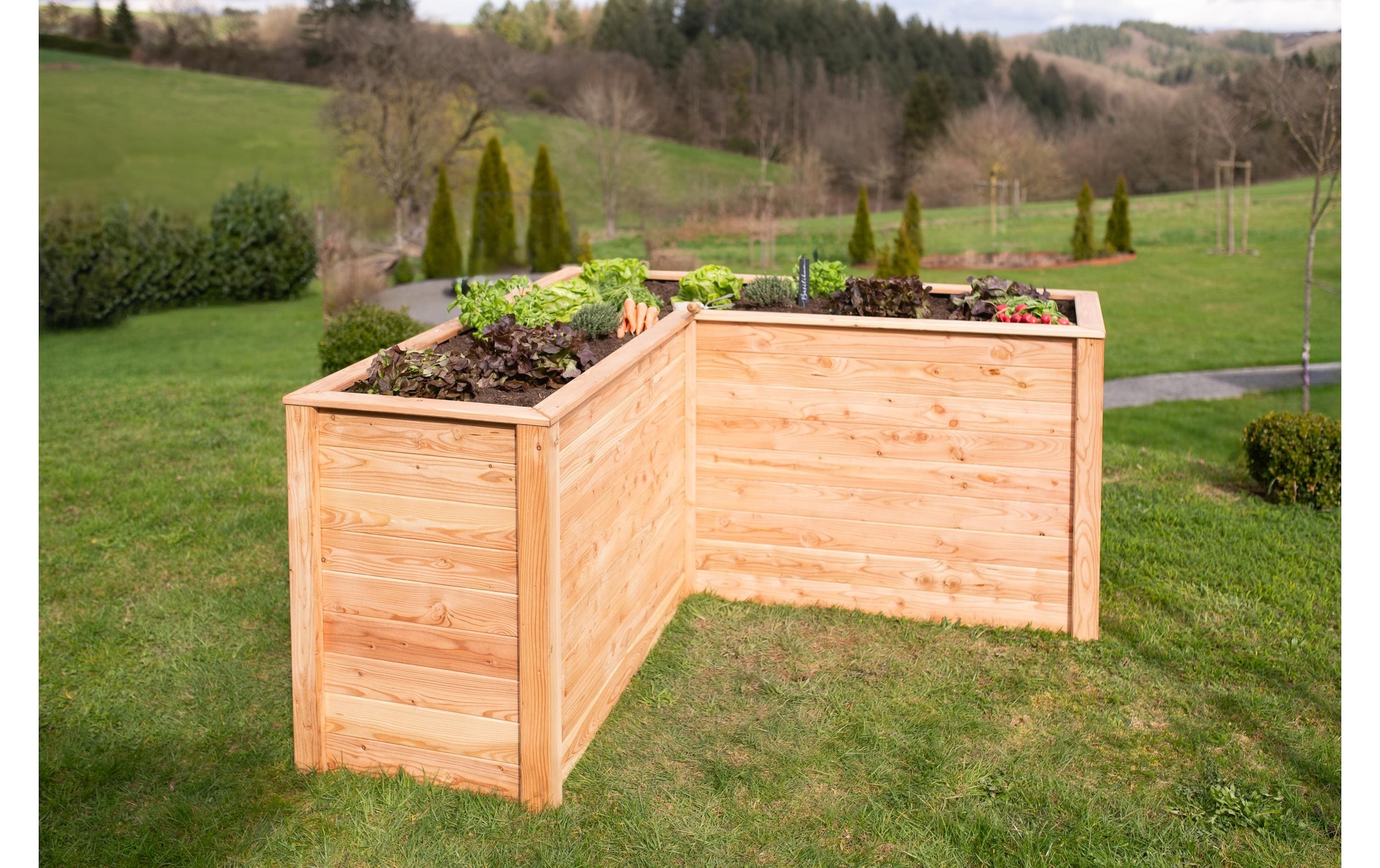 WESTMANN Lit surélevé »Lärchenholz Hochbeet »Klassik L 170«« Bac de jardin d'angle, naturel