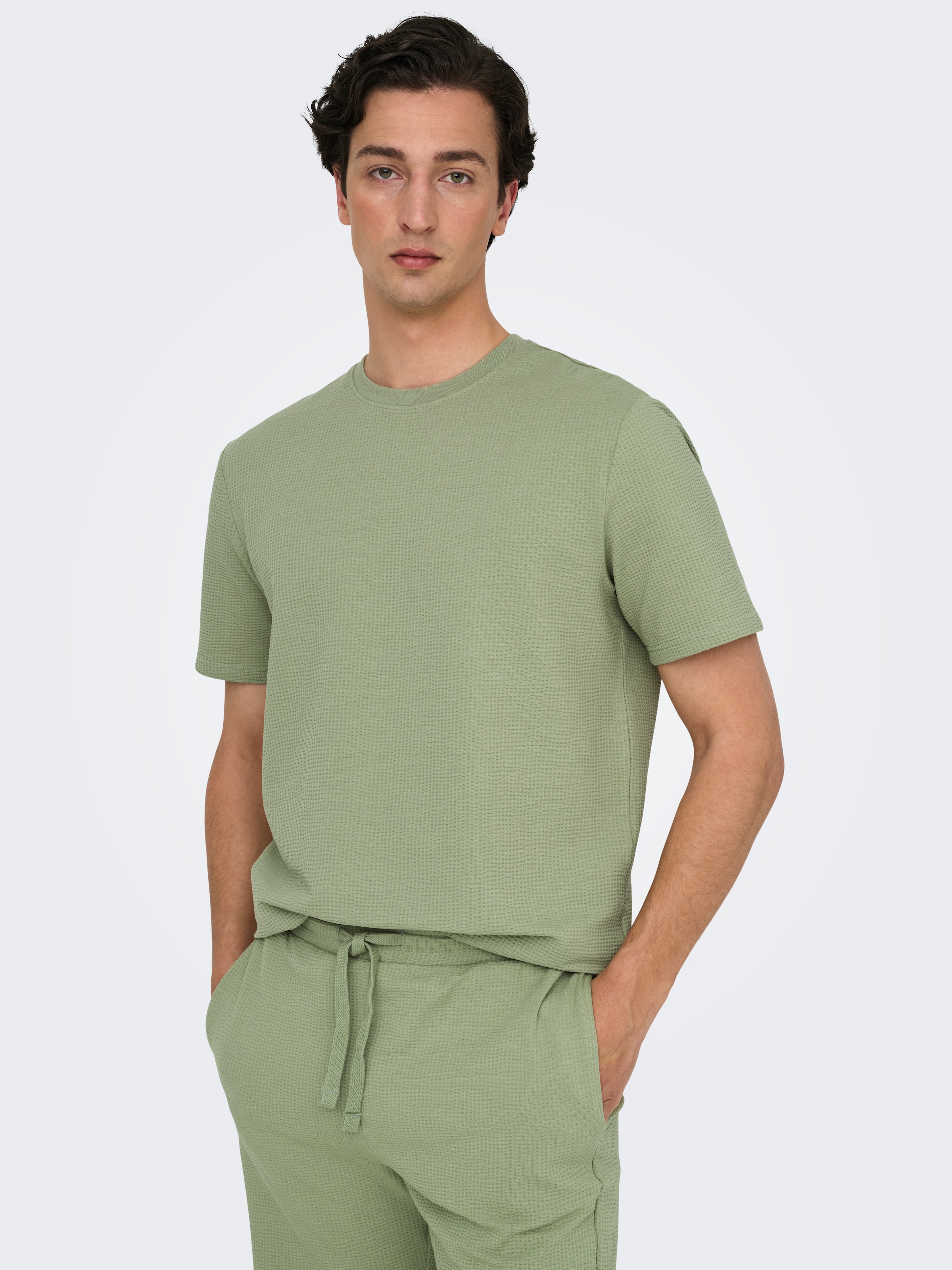 ONLY & SONS Rundhalsshirt »ONSKIAN LIFE REG SEERSUCKER SS TEE NOOS«