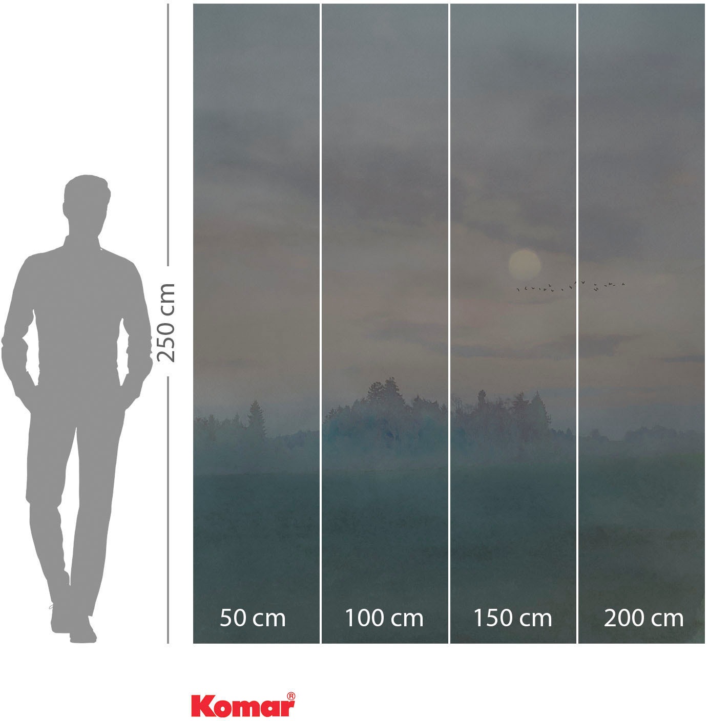 Komar Vliestapete »Digitaldruck Vlies -  Hazy Hush - Grösse 200 x 250 cm« bedruckt glatt Wohnzimmer, Schlafzimmer