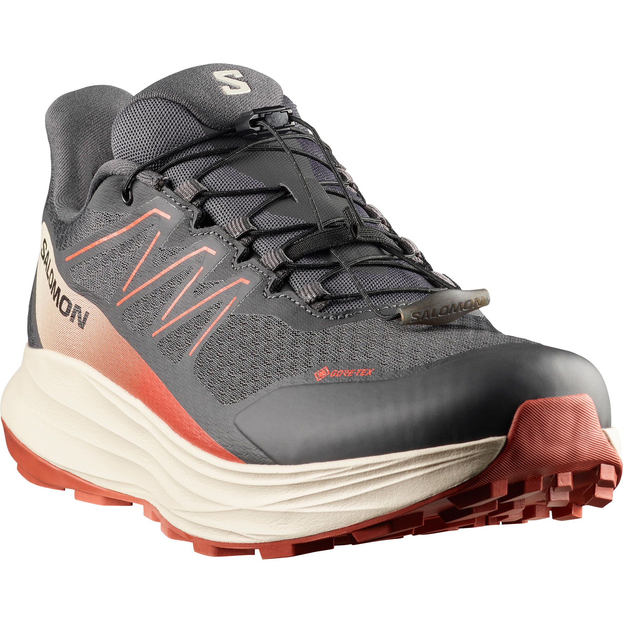 Salomon Trailrunningschuh »ALPHARIDE 2 GORE-TEX«  wasserdicht