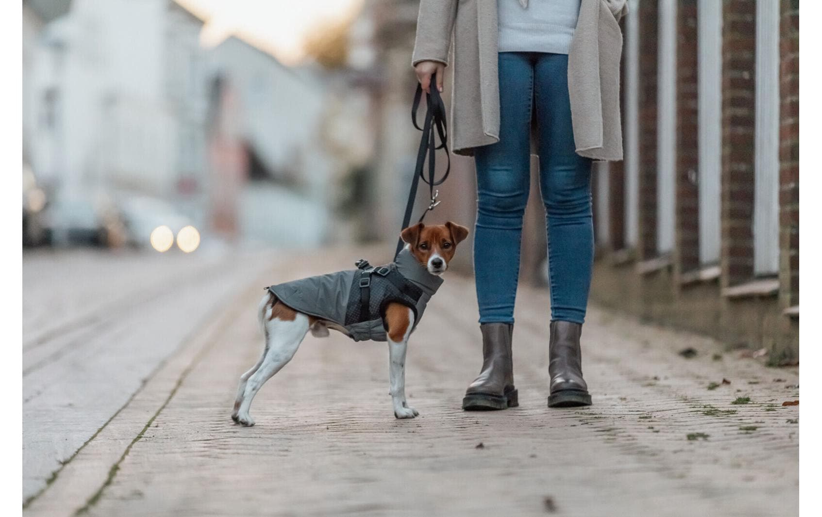 TRIXIE Imperméable pour chiens »Pontis Reflect« Wattierter und vollreflektierender Hundemantel