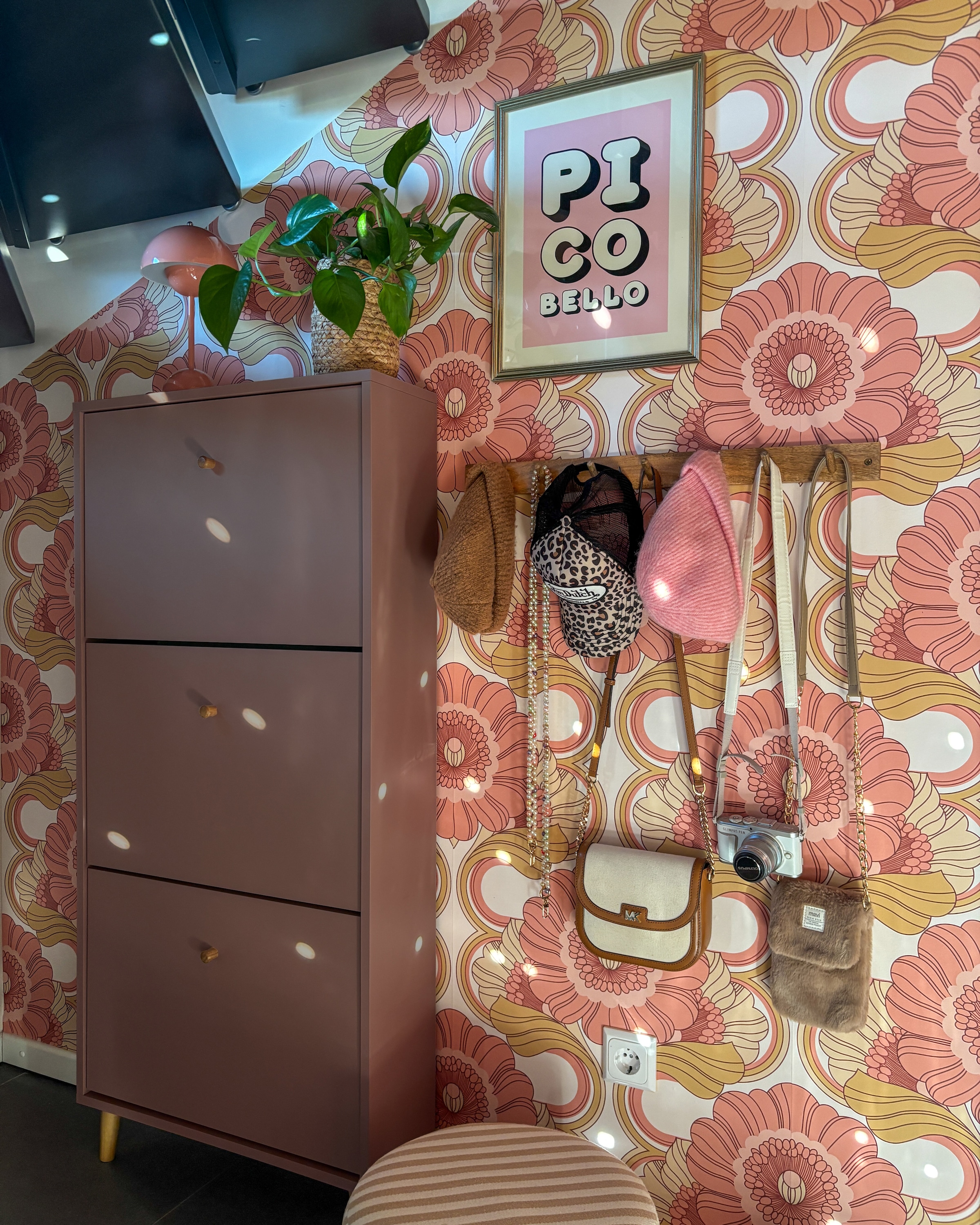 Schildmeyer Armoire à chaussures »Bjarne, Schuhschrank, Made in Germany, B: 60 cm« 1 cuis tlg. Fabrication solide - Ce produit est fabriqué en Allemagne