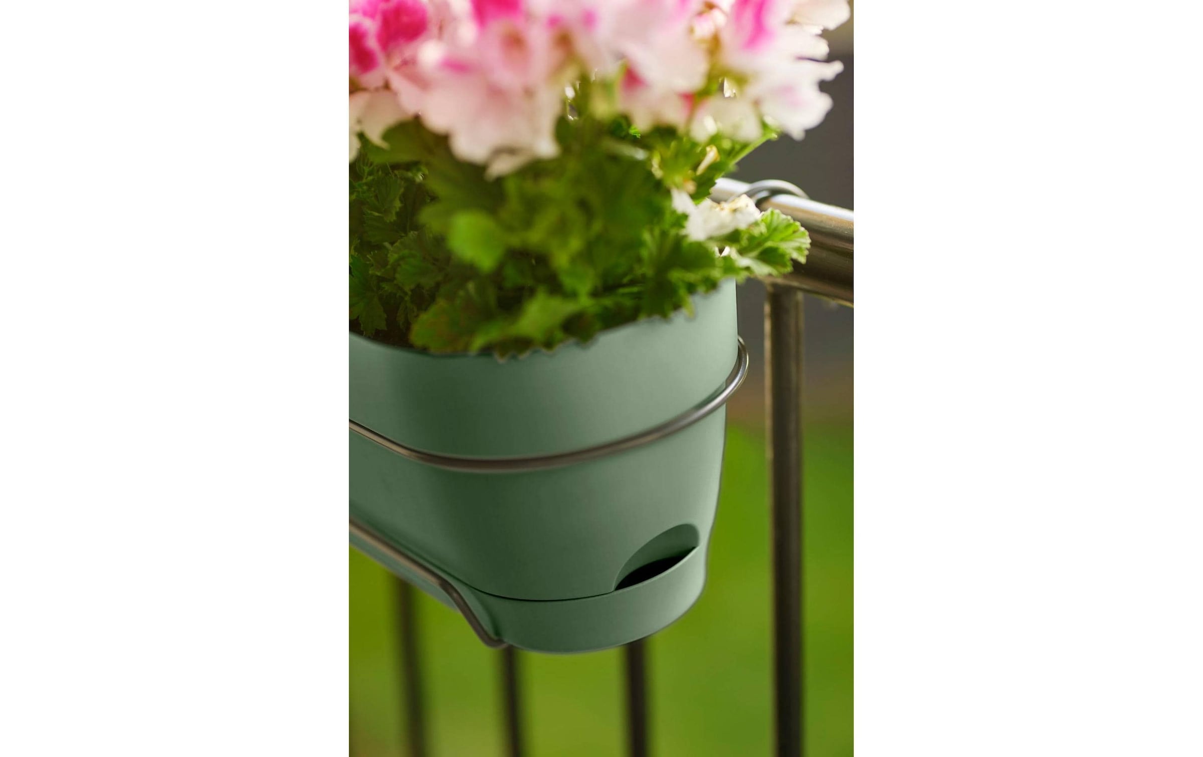 Elho Pot de fleurs »Vibia Campana Balkonkasten Allin1 50 cm«