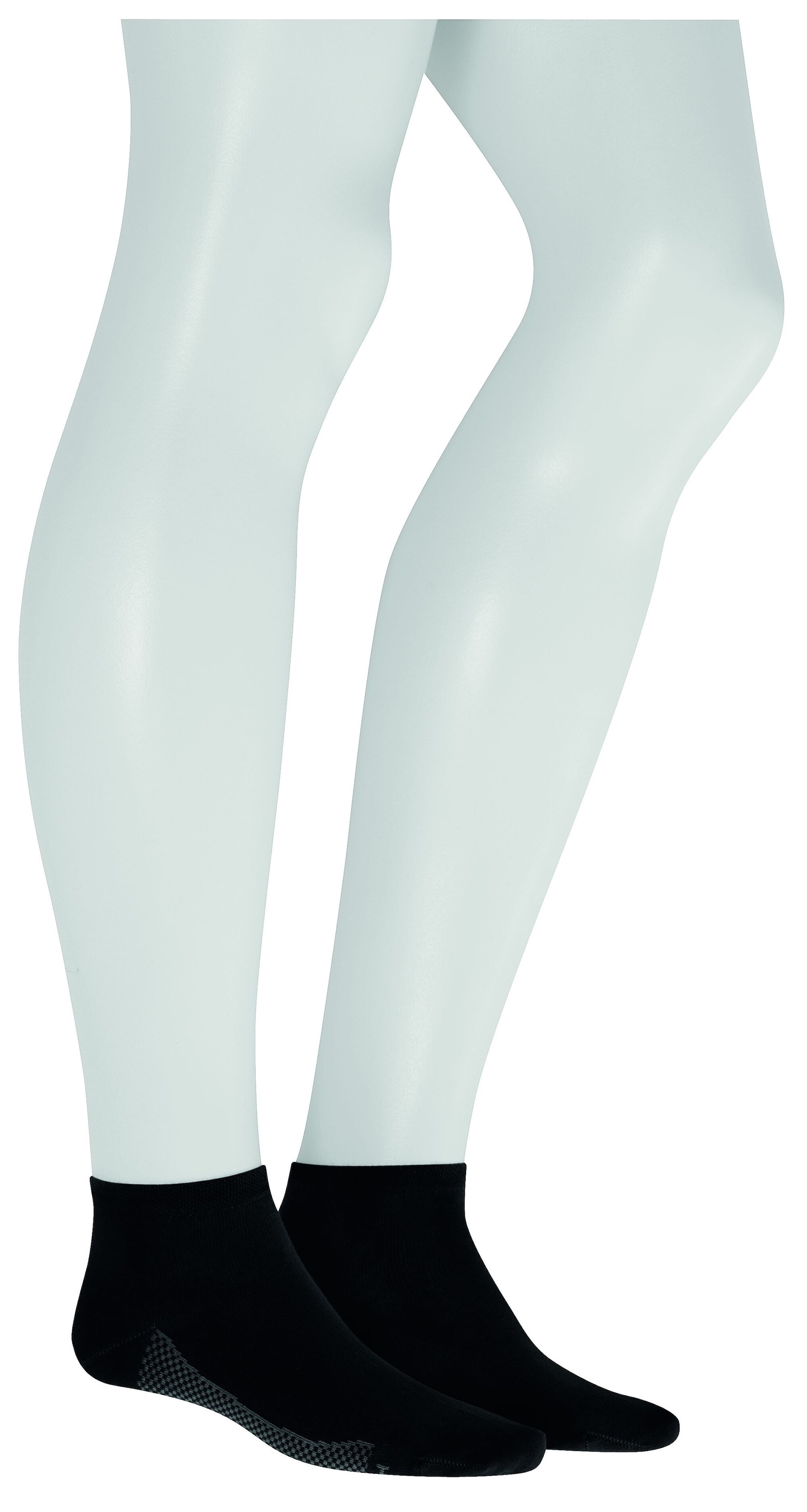 Hudson Chaussettes de baskets »DRY COTTON« Climate Sole, feuchtigkeitsregulierend und atmungsaktiv