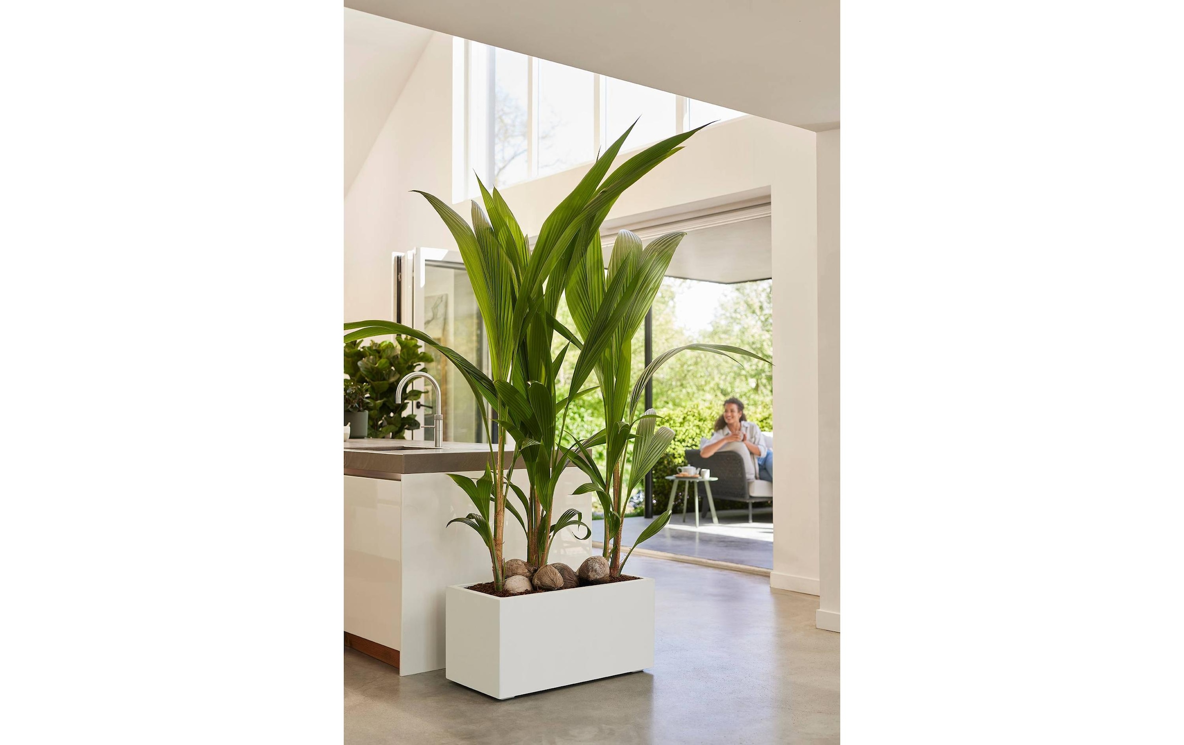 Elho Pot de fleurs »Vivo Next Lang 60 cm«