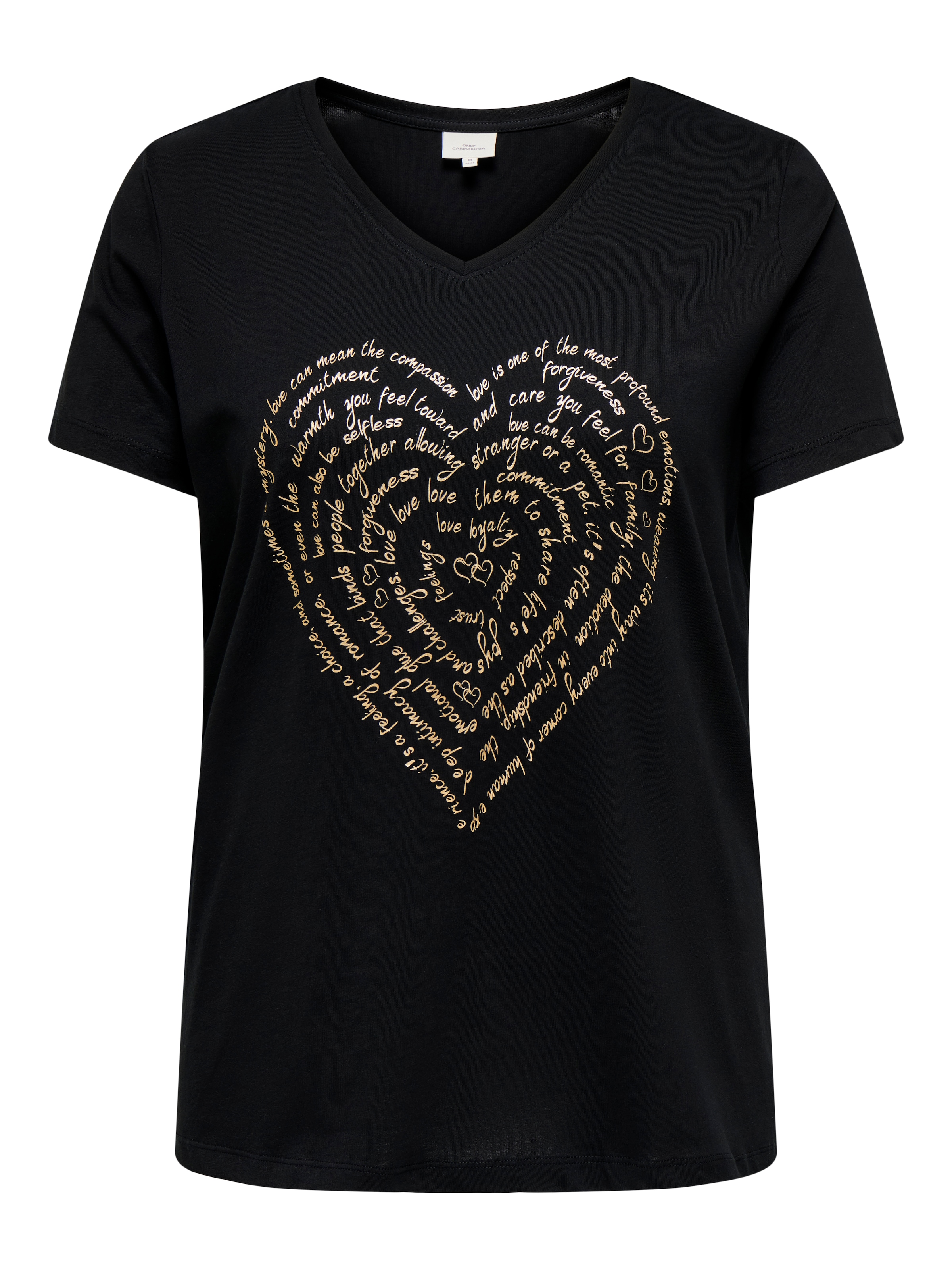 ONLY CARMAKOMA T-shirt à manches courtes »CARLYDIA LIFE SS V-NECK REG TEE JRS«