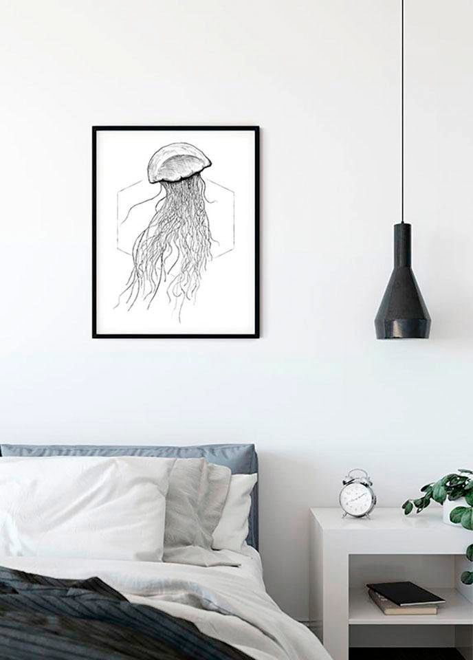 Komar Image »Jellyfish White« 1 cuis tlg. Wandbild zur Dekoration - ohne Rahmen