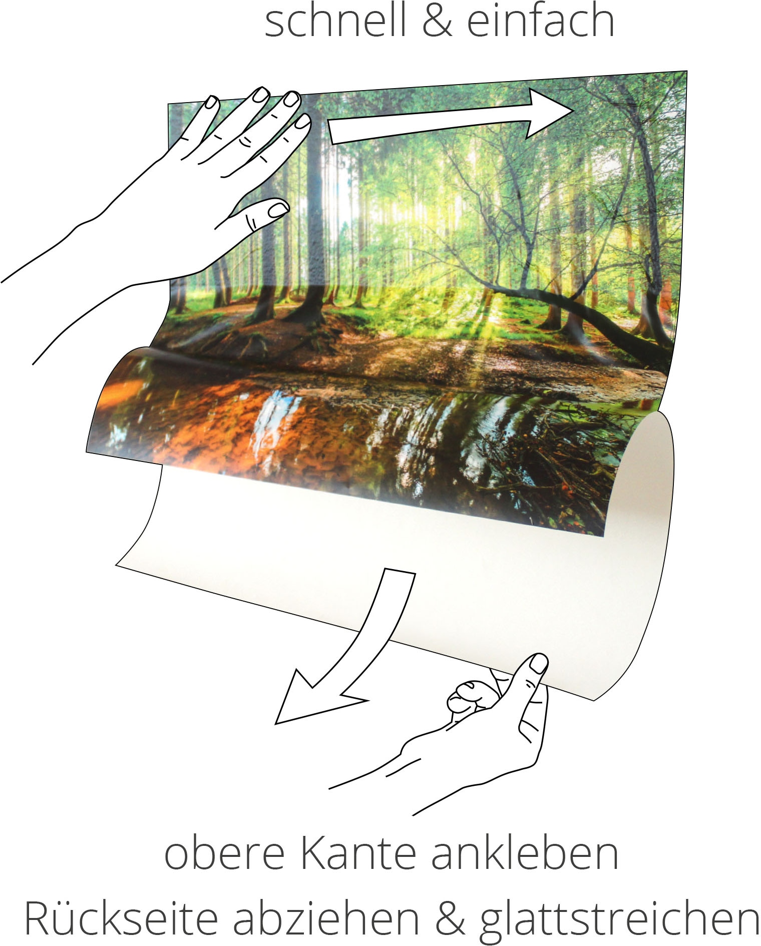 Artland Wandbild »Totenkopf Montana« 1 Stk. tlg. als Alubild, Leinwandbild, Poster, Wandaufkleber in verschied. Grössen