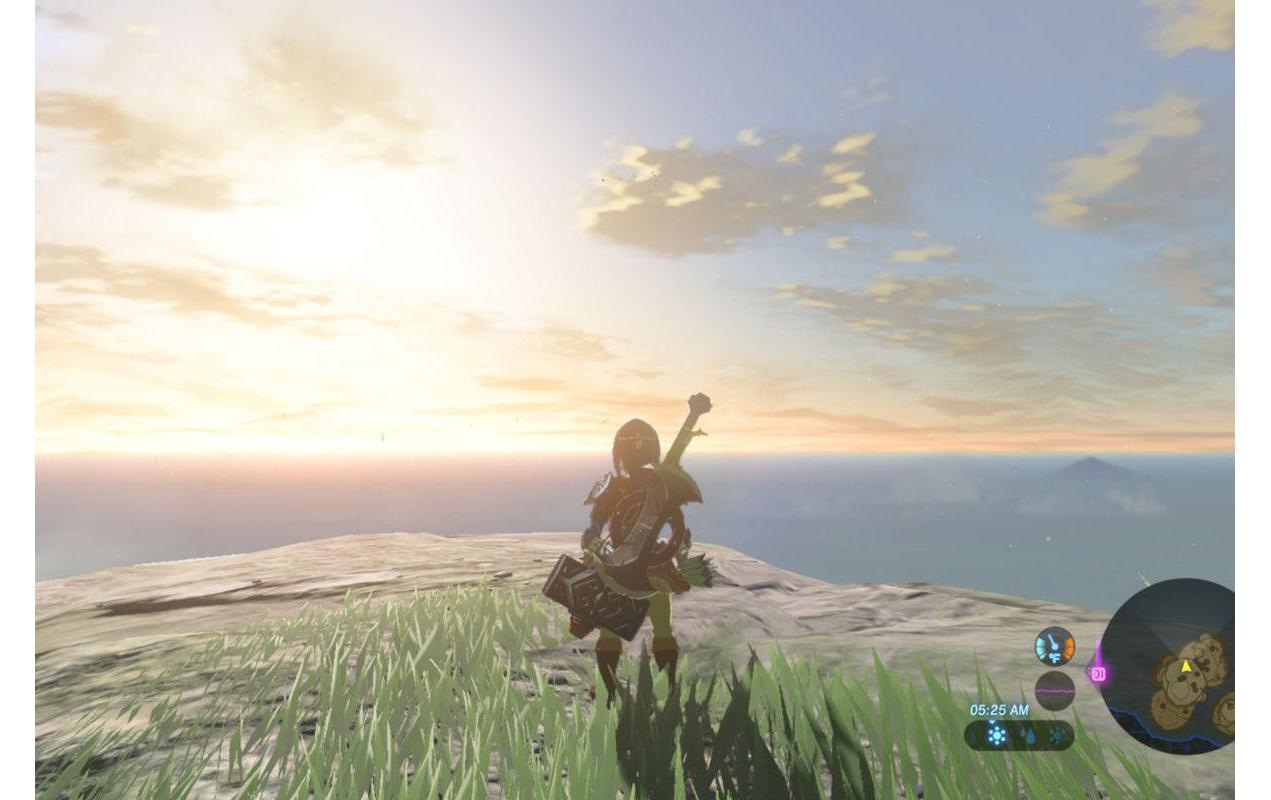 Nintendo Logiciel de jeu »The Legend of Zelda: Breat« Nintendo Switch