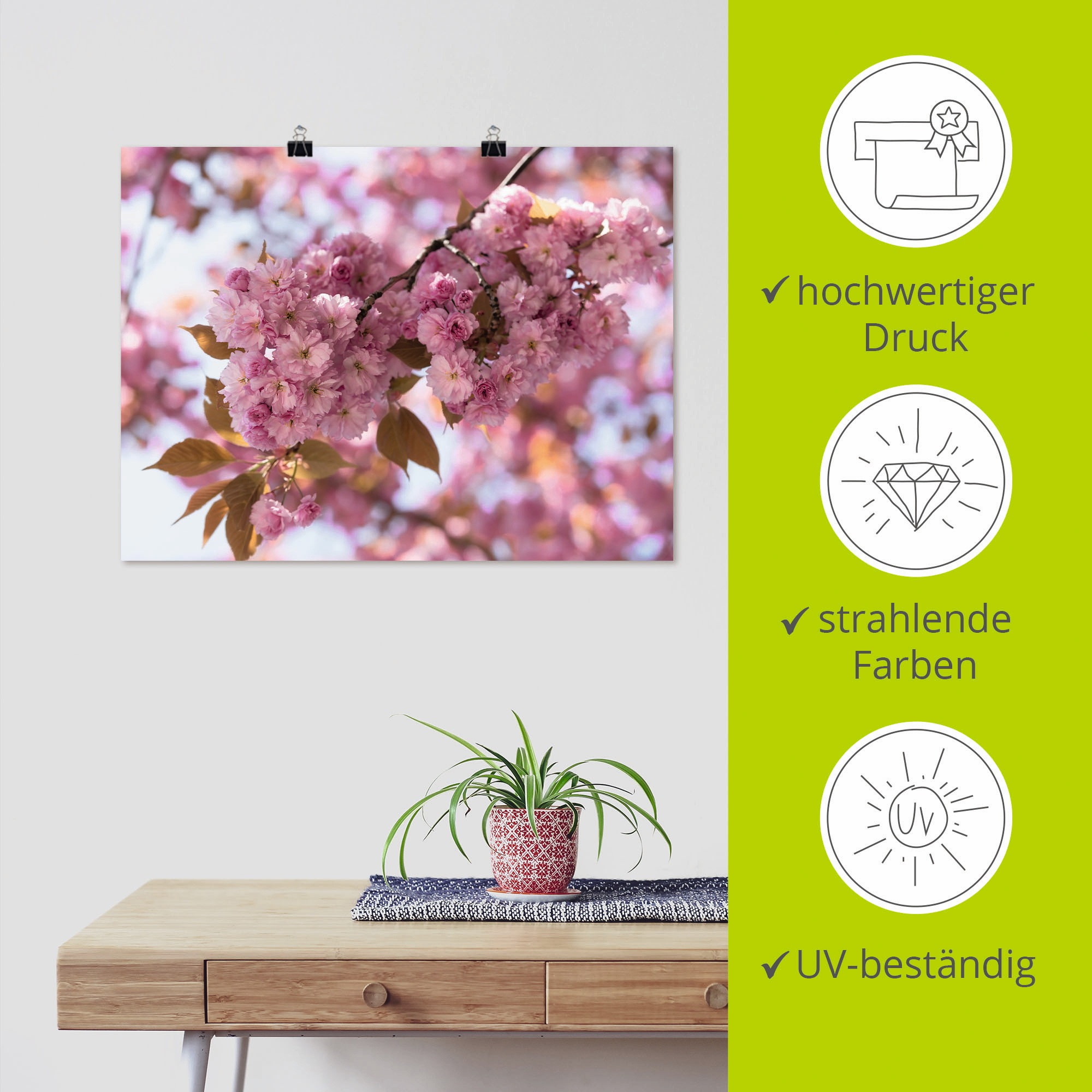 Artland Fresque murale »Japanische Kirschblüte in Love I« 1 cuis tlg. als Leinwandbild, Poster in verschied. Grössen