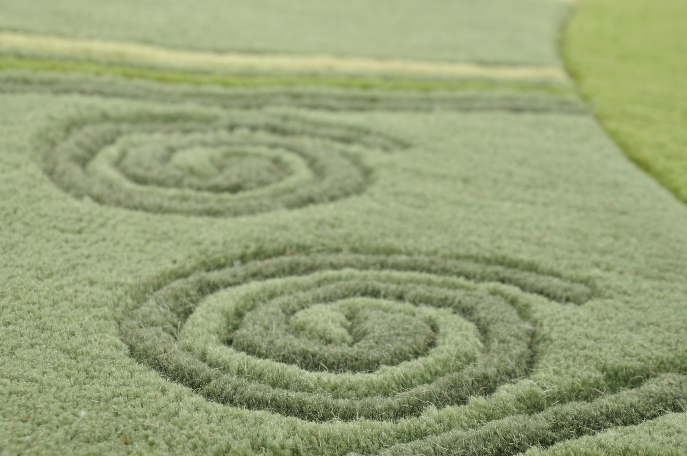 THEKO Wollteppich »Ambadi« rund 14 mm Höhe reine Schurwolle, handgetuftet, mit Bordüre, modern