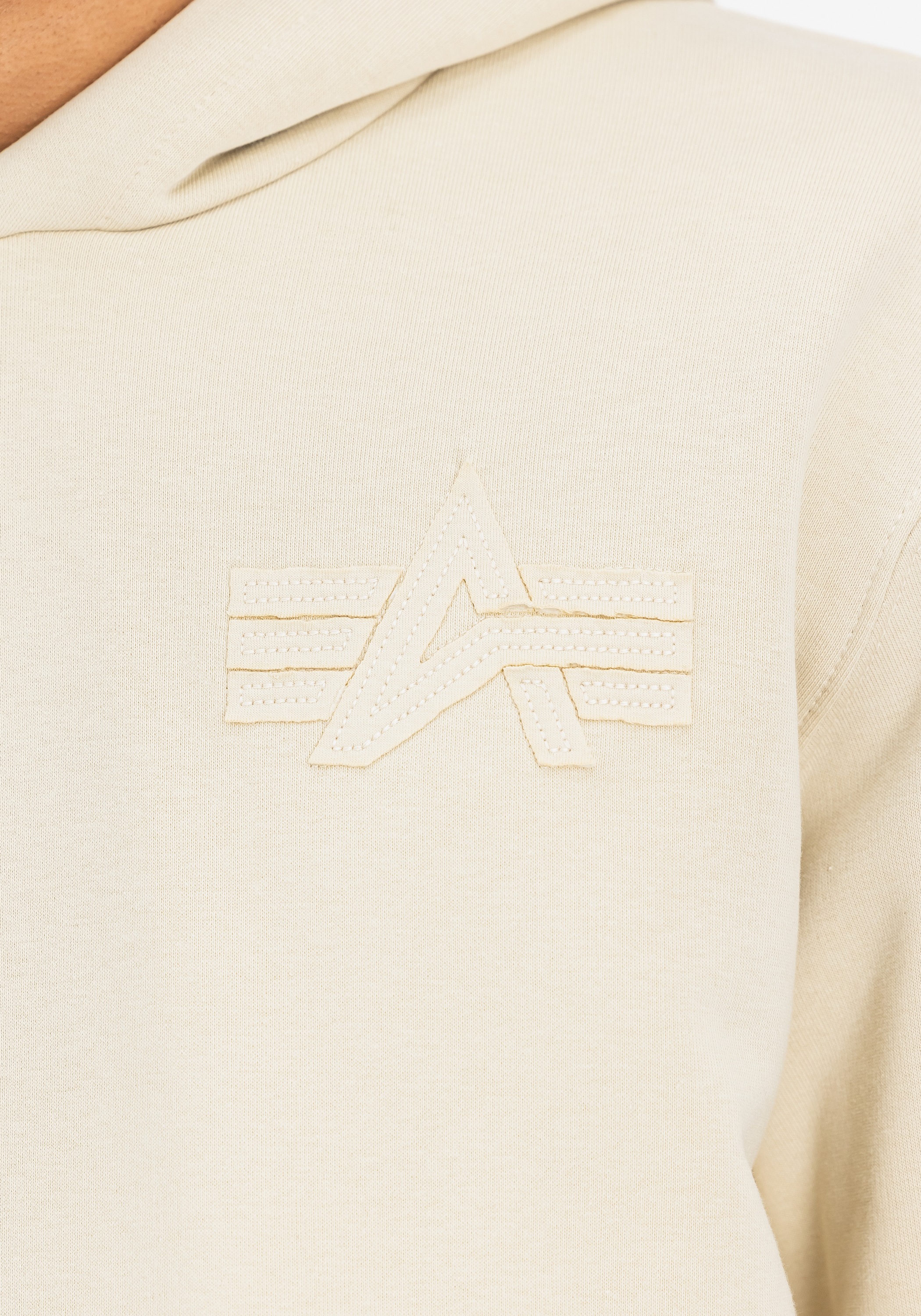 Alpha Industries Hoodie »Coach Hoodie Backprint«
