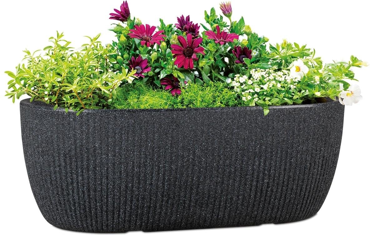 Scheurich Jardiniere »46/274 LINETTO JARDI« Pflanzschale aus Kunststoff, BxTxH: 46x46x17,1 cm