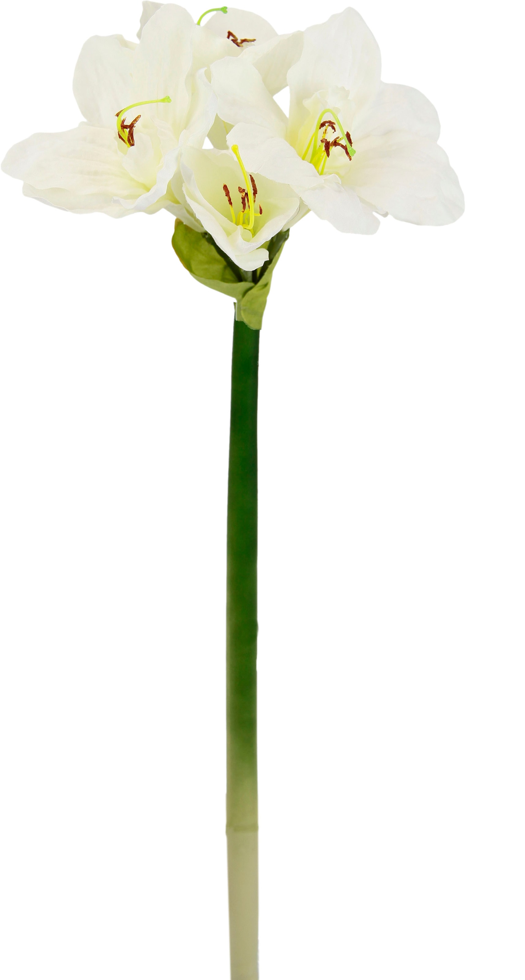 I.GE.A. Fleur artificielle »Amaryllis« Kunst-Stielblume, 3er Set