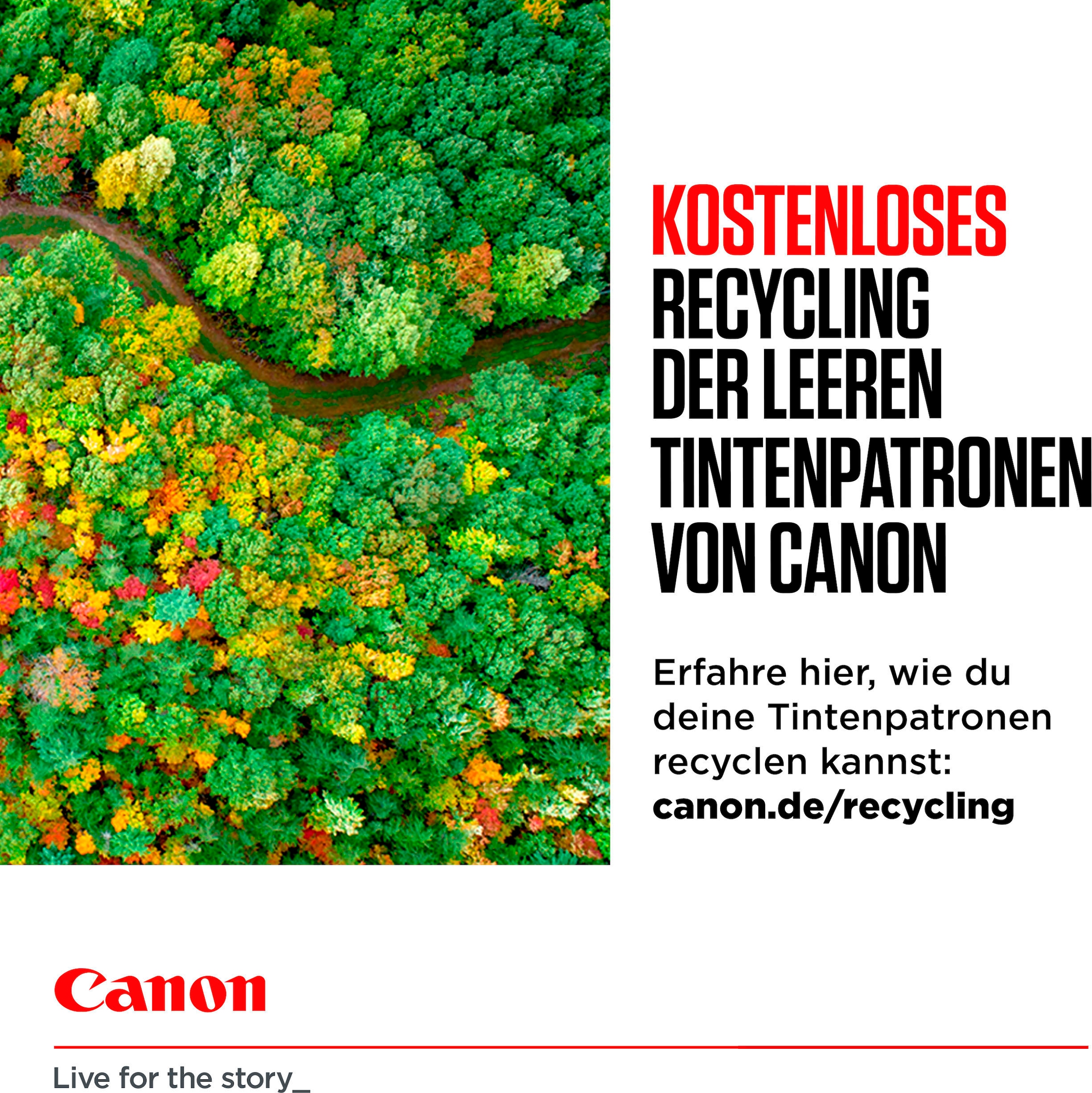Canon Tintenpatrone »PGI-580BK/CLI-581 BK/C/M/Y Pigment- und Farbstofftinte Multipack«